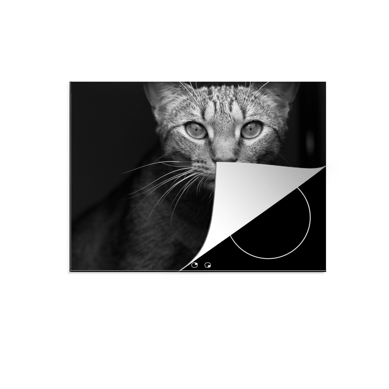 MuchoWow Herdblende-/Abdeckplatte Katzen - Schnurrhaare - Schwarz - Weiß, Vinyl, (1 tlg), 70x52 cm, Mobile Arbeitsfläche nutzbar, Ceranfeldabdeckung