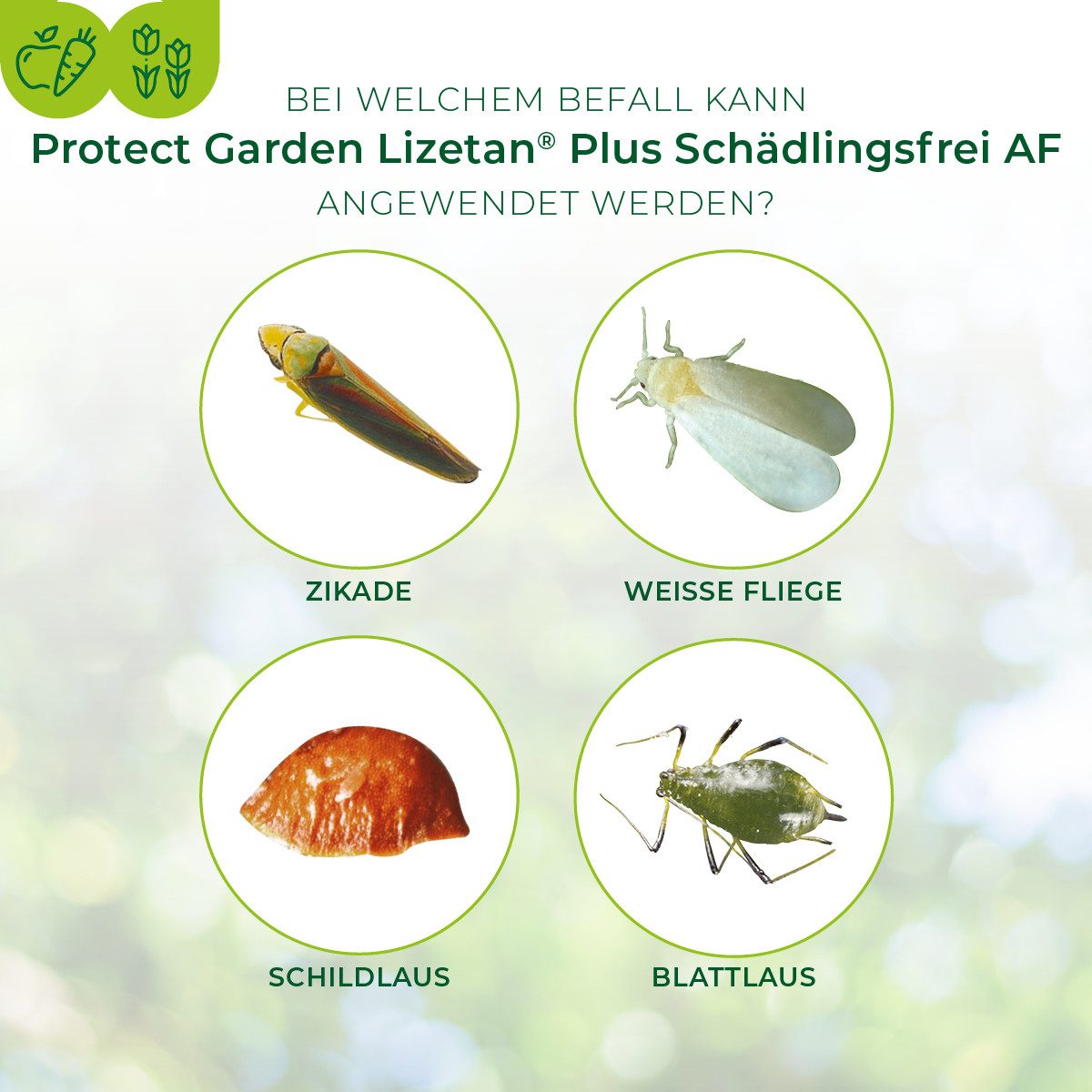 Protect Garden Insektenspray Lizetan Plus Schädlingsfrei AF - 800 ml, 800 ml – Bild 4 von 5