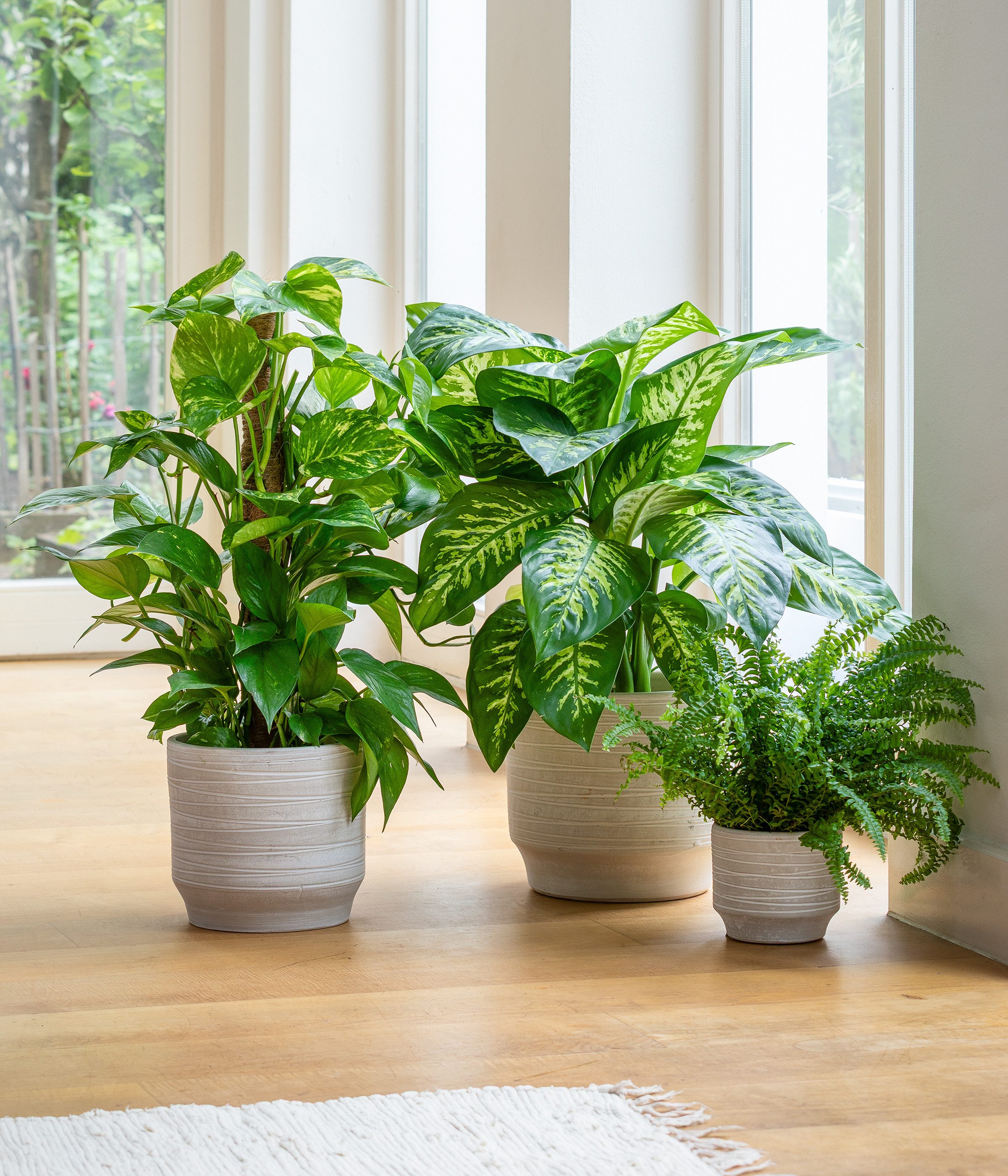 Dehner Übertopf Kim, konischer Blumentopf, handgefertigt, Keramik, hellgrau günstig online kaufen