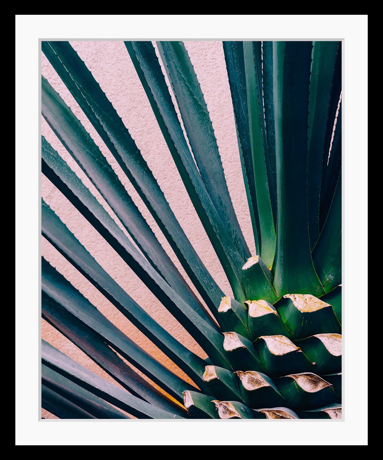 queence Bild Kim, Blätter, Foto, Kunst, Palmen, Stechpalmen, HD Premium Poster-Druck inkl. Holzrahmen