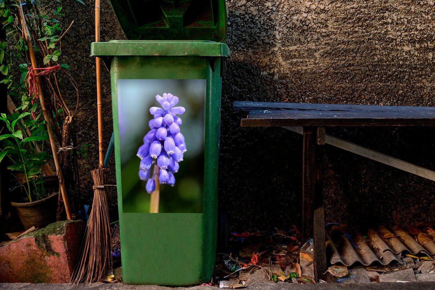 Traubenhyazinthe Abfalbehälter (1 Mülleimer-aufkleber, Gewöhnliche sonnigen Tag an einem Sticker, Mülltonne, St), Wandsticker Container, MuchoWow