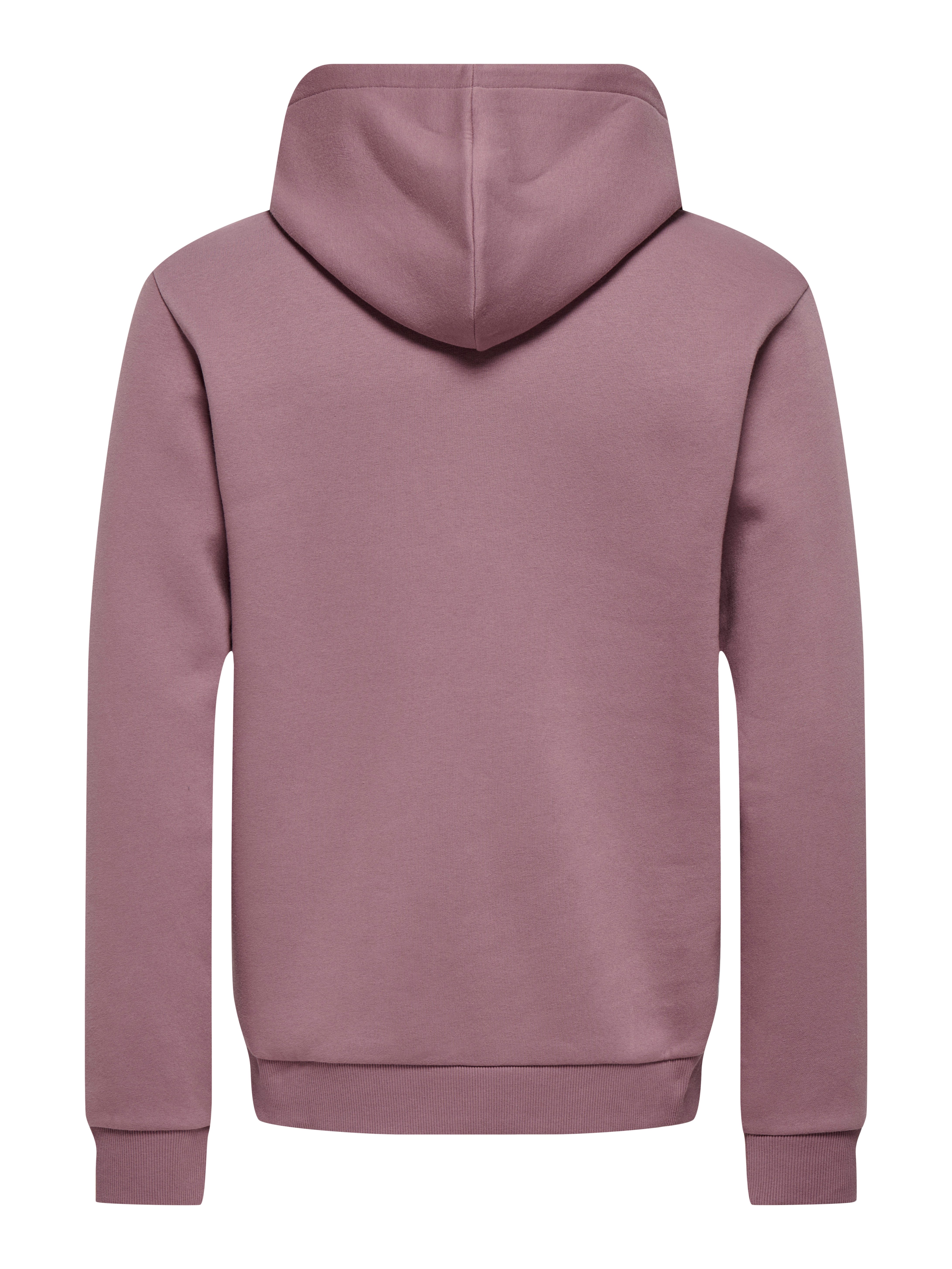 ONLY & SONS Kapuzensweatshirt ONSCERES HOODIE SWEAT NOOS Baumwollmischung, regular fit