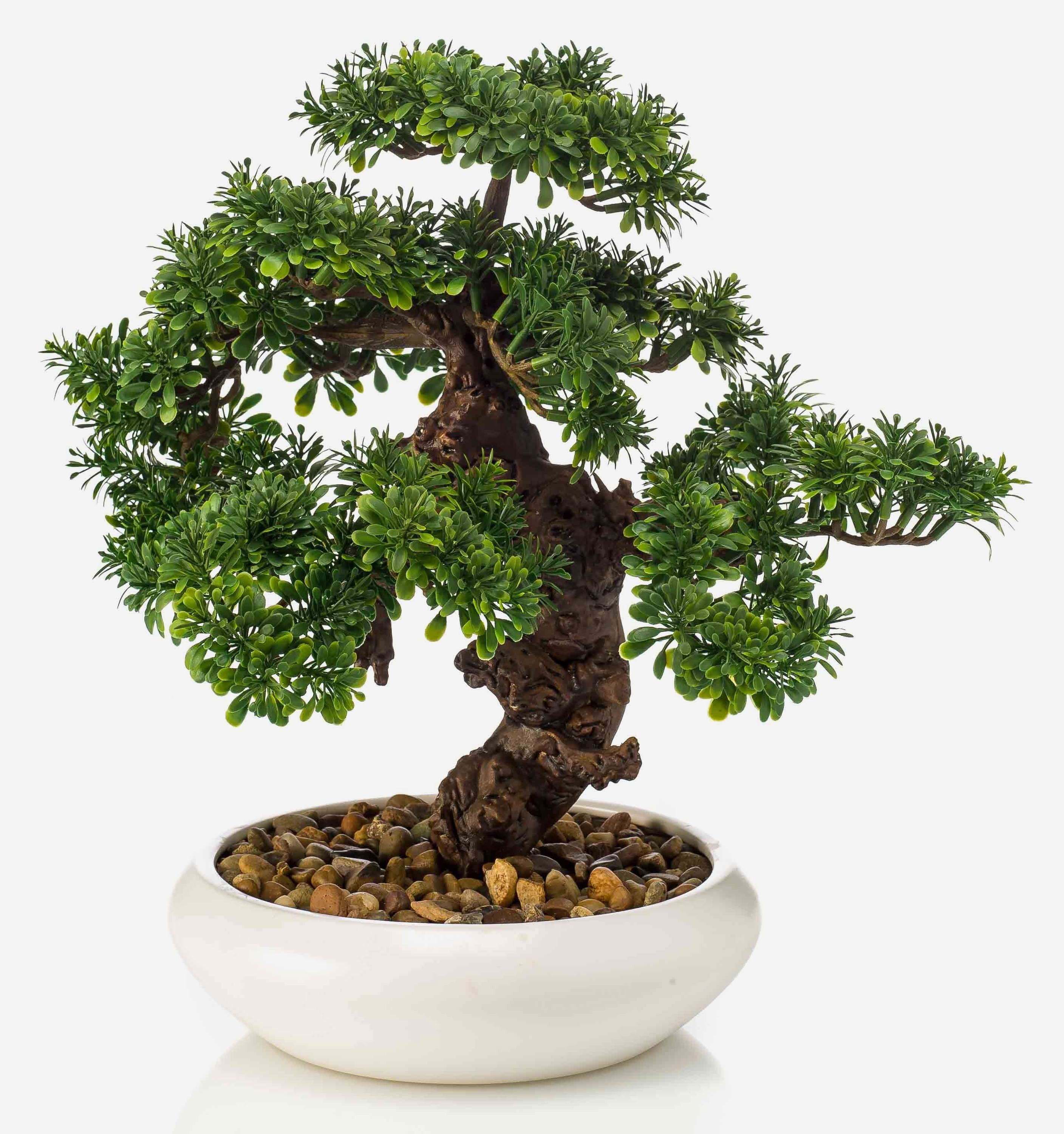 Kunstbonsai Kunststoff Bonsai Ficus MIRSANDA in Bonsaischale, 35cm Ficus (Ficus benjamini), artplants