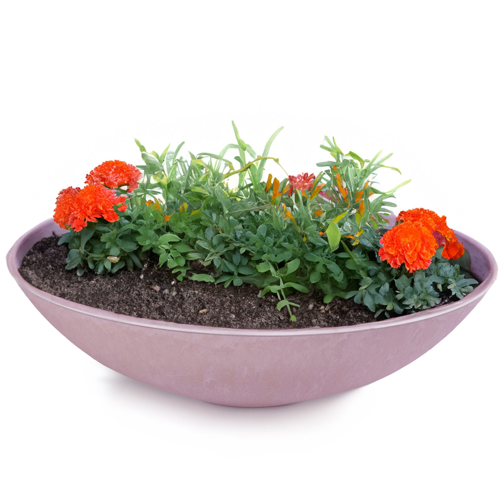 matches21 HOME & HOBBY Blumentopf Flache günstig online kaufen
