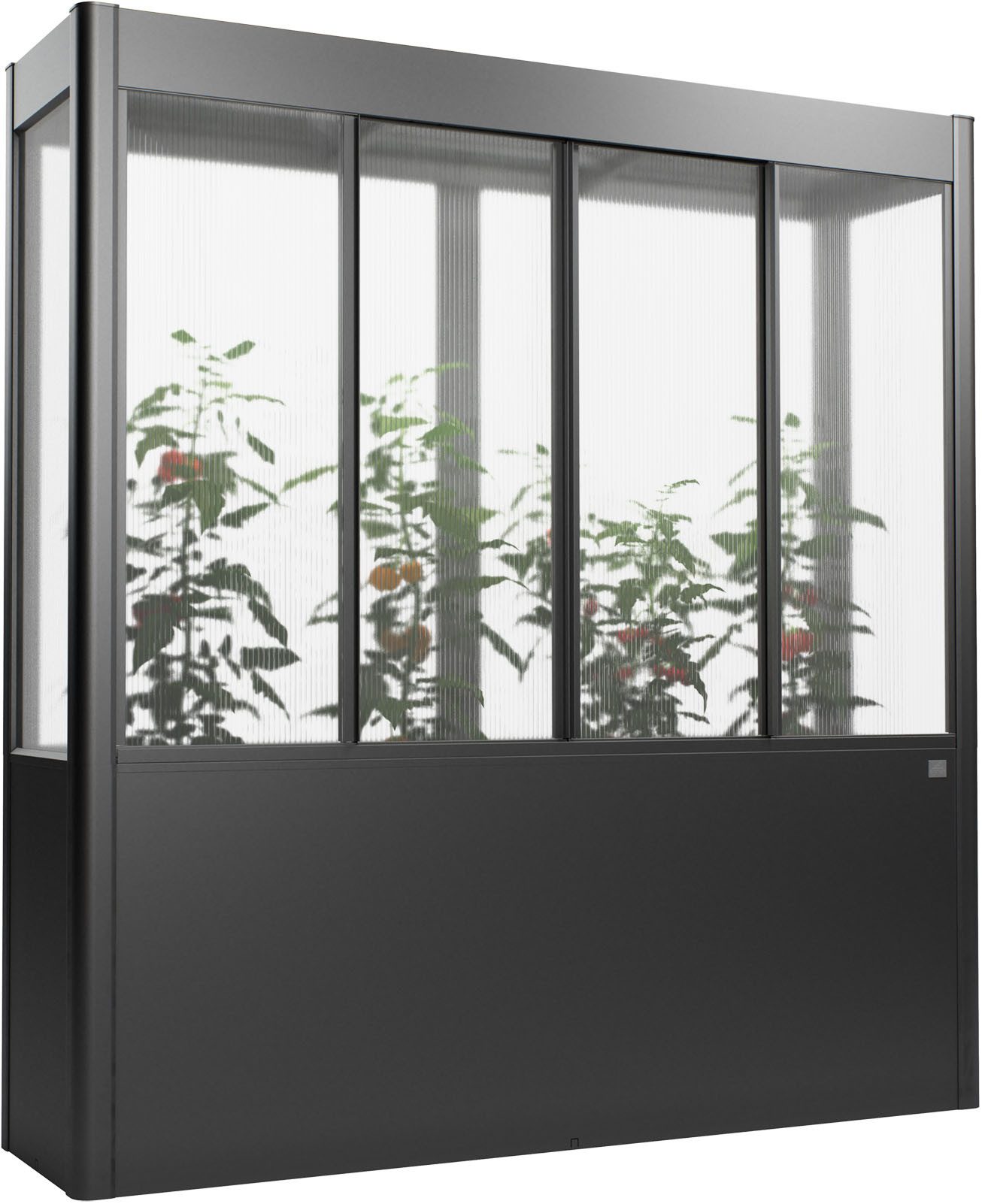 Biohort Gewächshaus Florentina Gr. 2x0,5 MAXI, verschiedene Farben, Kompaktes Gewächshaus für hochwachsende Pflanzen