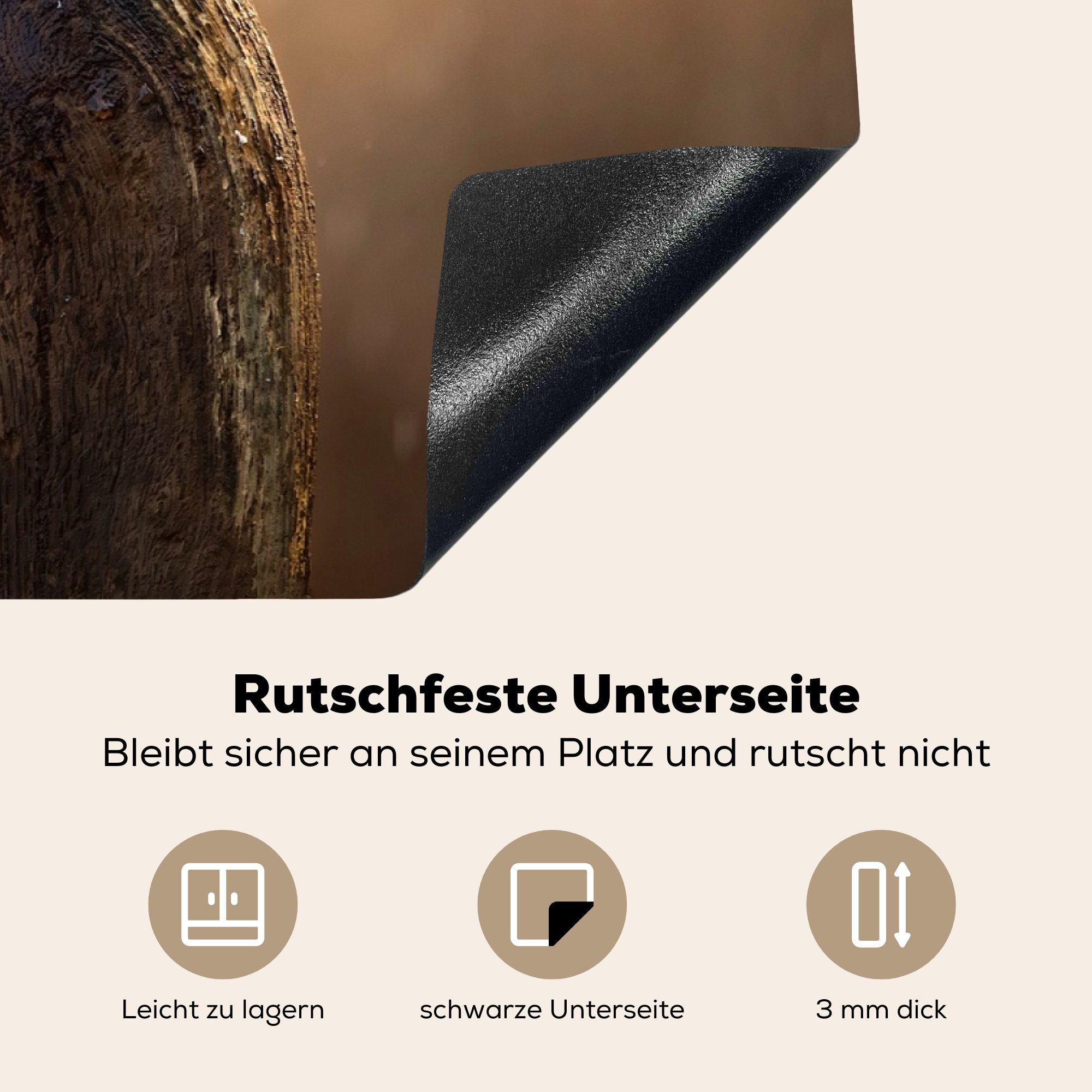 MuchoWow Herdblende-/Abdeckplatte Vogel küche, Ceranfeldabdeckung Schutz Induktionskochfeld Baum für - 81x52 die Vinyl, Regen, cm, (1 tlg), 