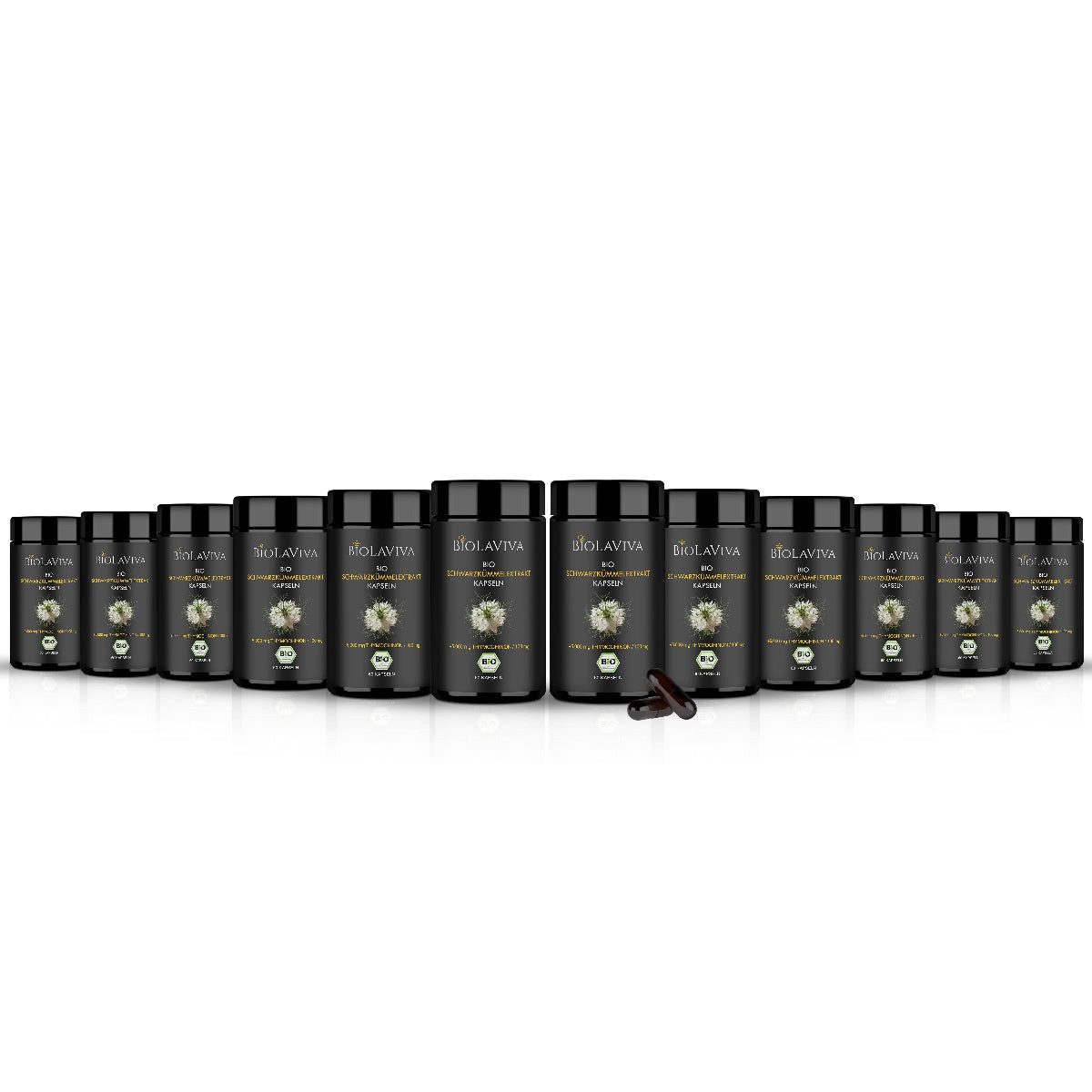 BIOLAVIVA 12× Bio Schwarzkümmelöl Kapseln - ungefiltert - 240 Kapseln Kapseln