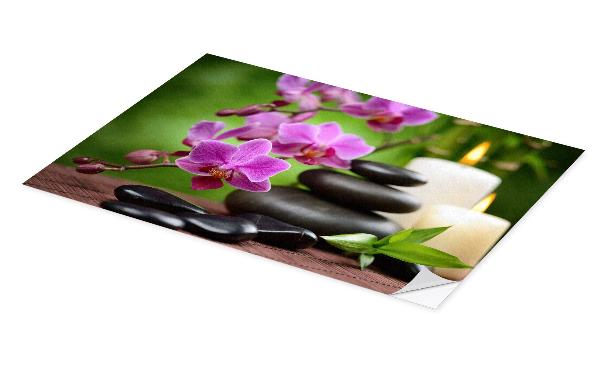 Posterlounge Poster Editors Choice, Wellness-Stillleben mit günstig online kaufen