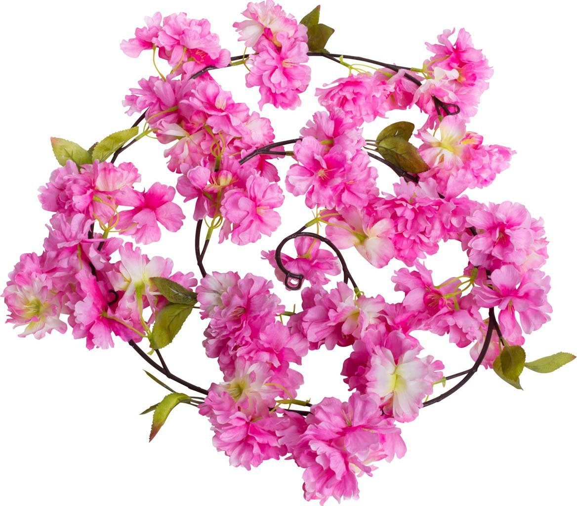 Von offiziellen Händlern bezogen Kunstblume Kirschblütengirlande Höhe Kirschblüte, 12 Botanic-Haus, cm