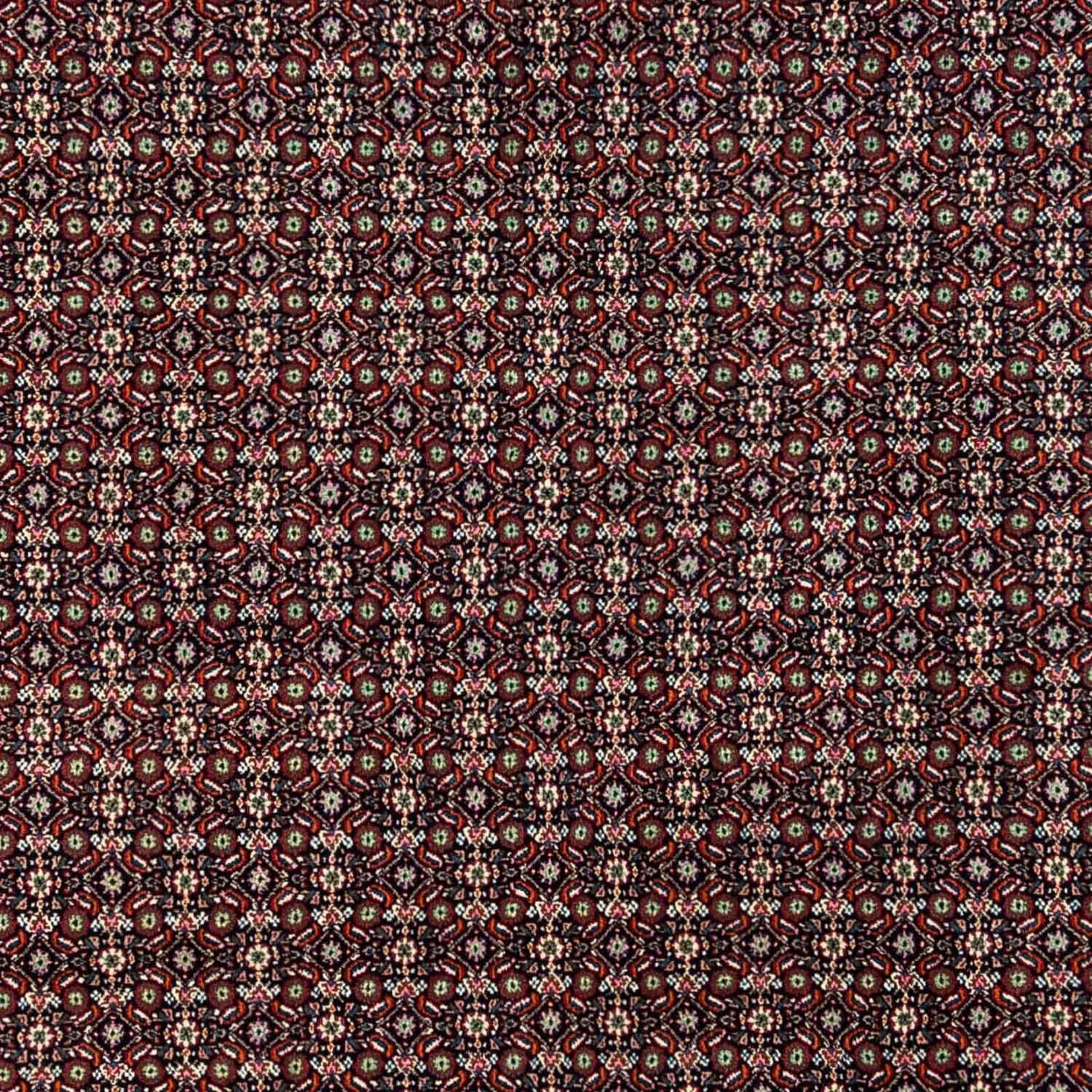 Unikat 248 rechteckig, x 342 Marrone morgenland, cm, mm, Moud 10 chiaro mit Höhe: Zertifikat Medaillon Wollteppich