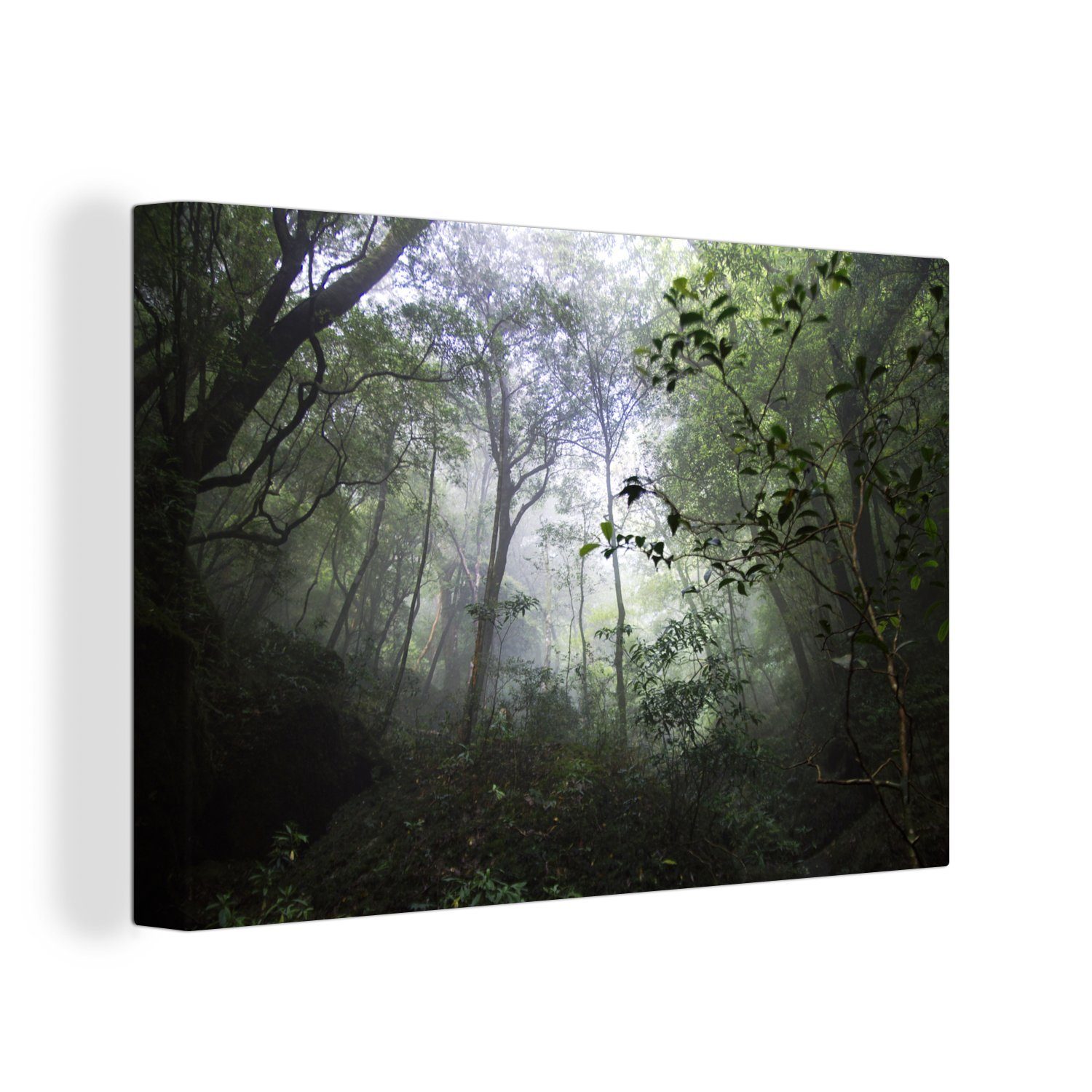 OneMillionCanvasses® Leinwandbild Wald am Motchomudake auf Yakushima in Japan, (1 St), Wandbild Leinwandbilder, Aufhängefertig, Wanddeko, 30x20 cm