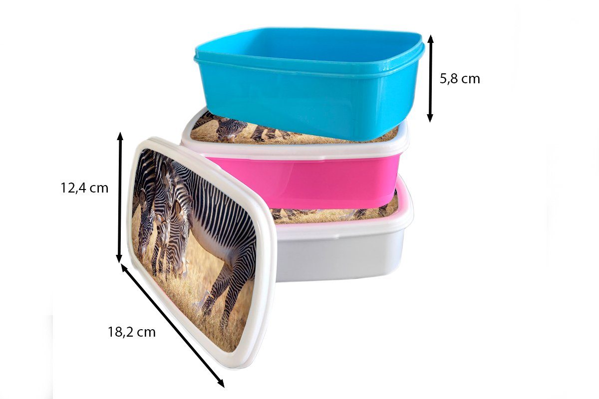 MuchoWow Lunchbox Zebra - und weiß Kinder für für und Weiden Kunststoff, Brotdose, Mädchen Erwachsene, Jungs Safari, (2-tlg), Brotbox 