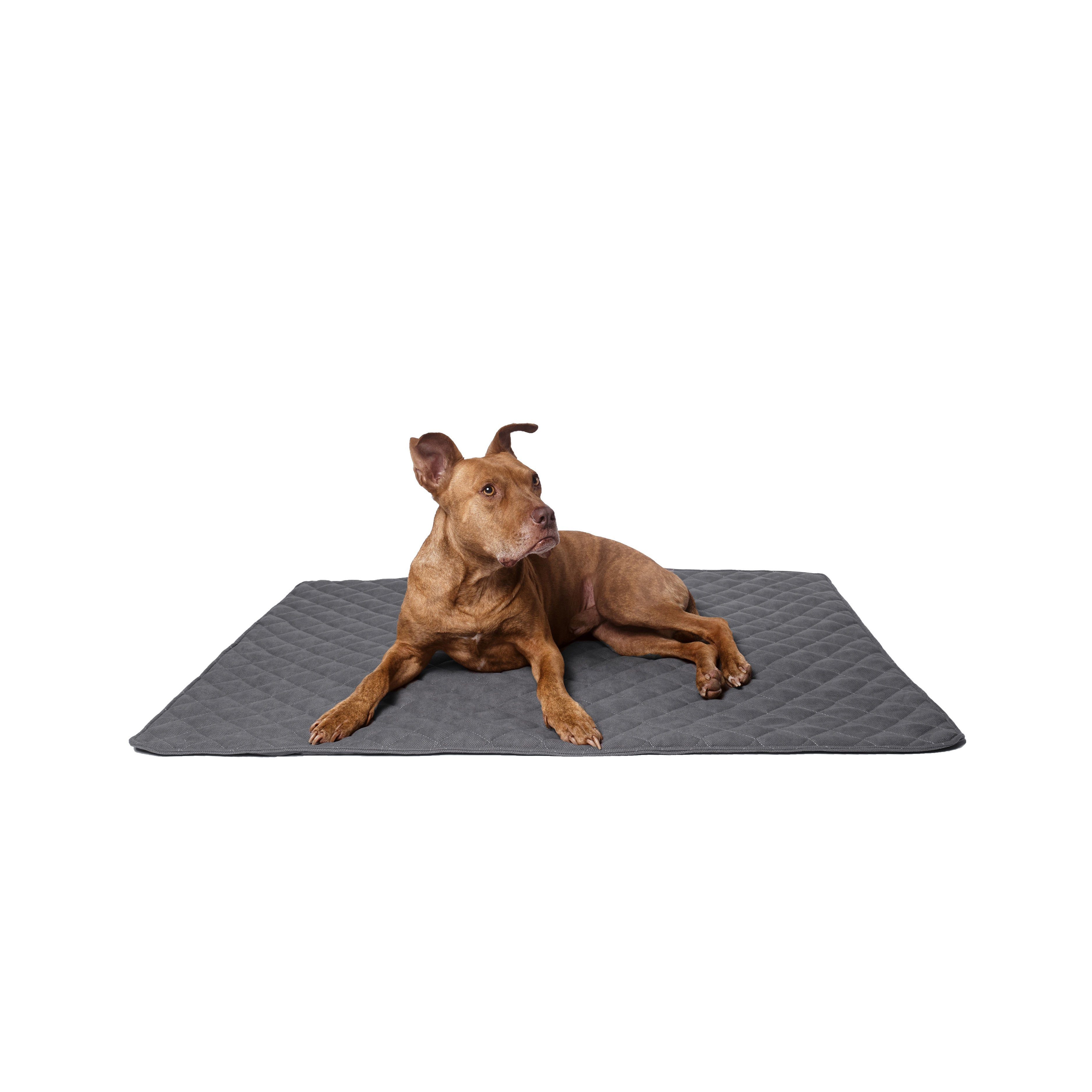 lous Hundematte stilvolle & hochwertige Hundedecke, Baumwoll-Mischgewebe, r günstig online kaufen