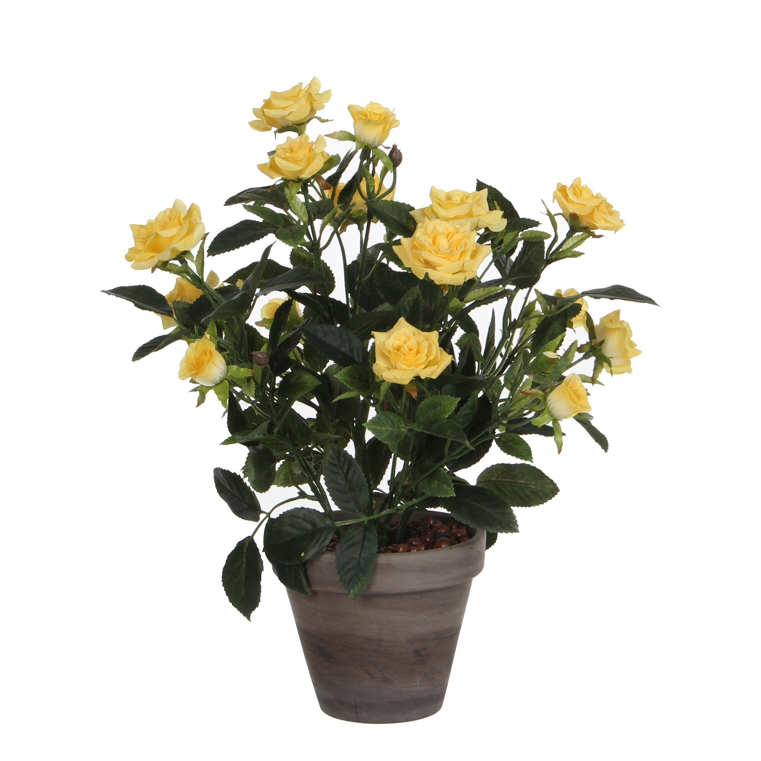 Kunstpflanze Mica Decorations Rosenstrauch gelb in Topf Stan grau d11,5cm - h33xd25, Mica Decorations, Höhe 33 cm