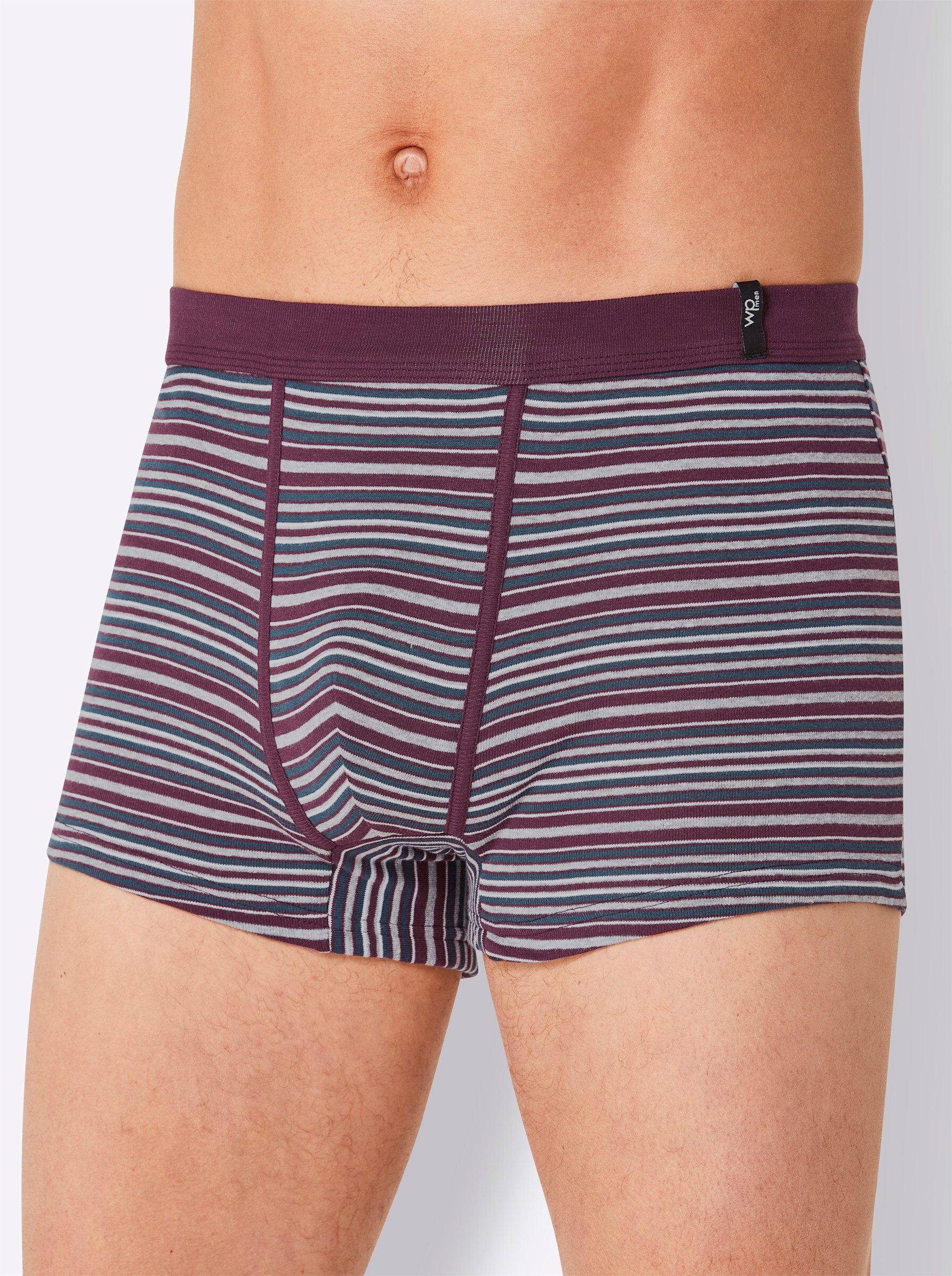 Witt Schlüpfer Pants (3-St)