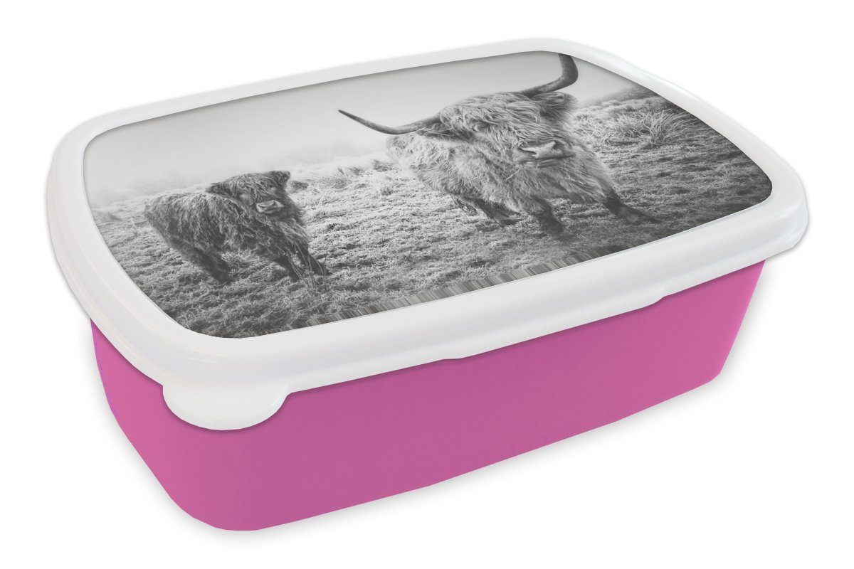 MuchoWow Lunchbox Verschneite schottische Highlander - schwarz und weiß, Kunststoff, (2-tlg), Brotbox für Erwachsene, Brotdose Kinder, Snackbox, Mädchen, Kunststoff rosa