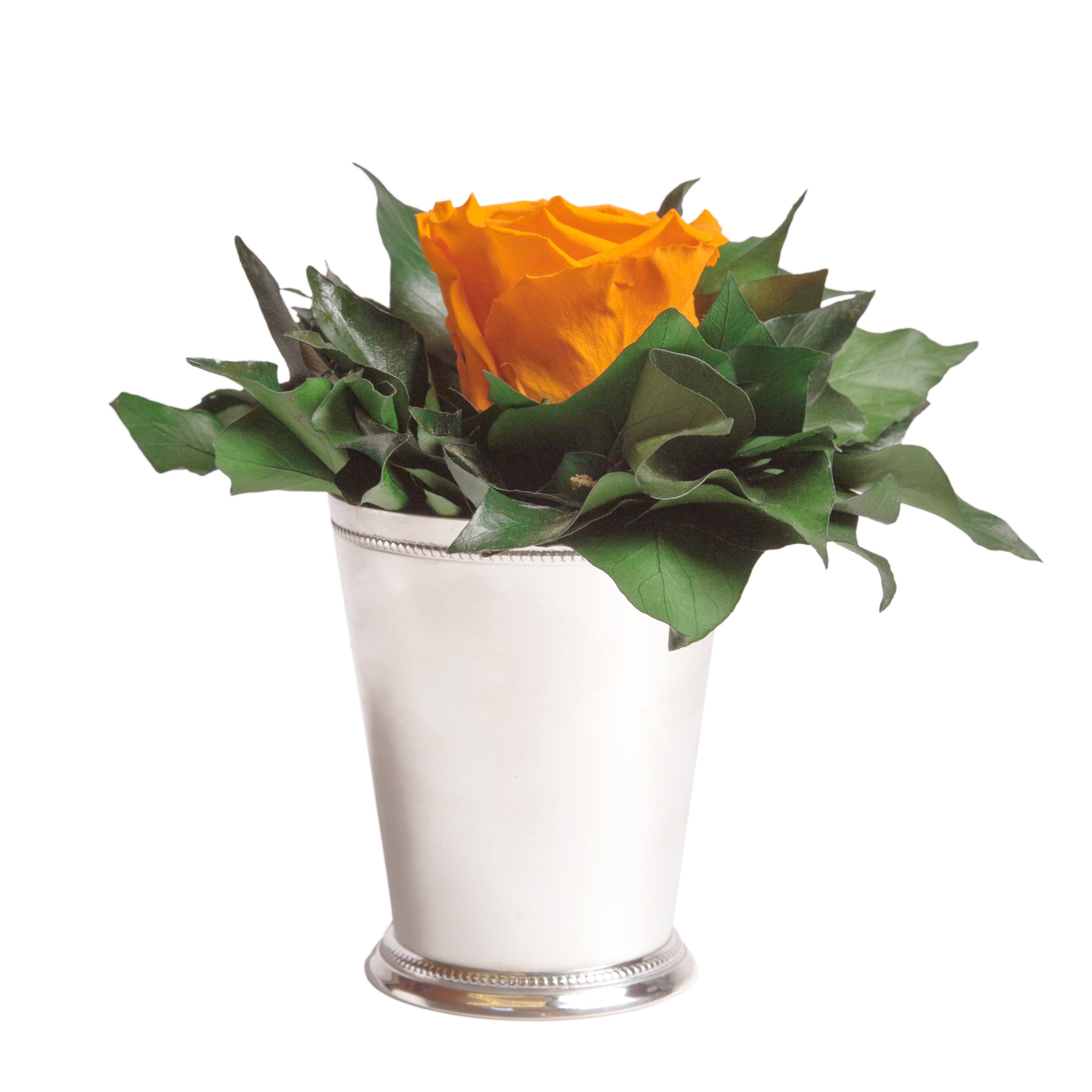 Künstliche Zimmerpflanze 1 Infinity Blume Becher silberfarben Geschenkidee für Frauen Rose, ROSEMARIE SCHULZ Heidelberg, Höhe 12 cm, Echte Rose lange haltbar Gelb