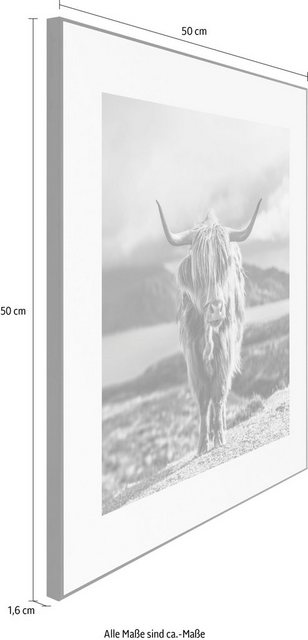 Reinders! Wandbild »Slim Frame Black 50x50 Highland Cow«-Otto