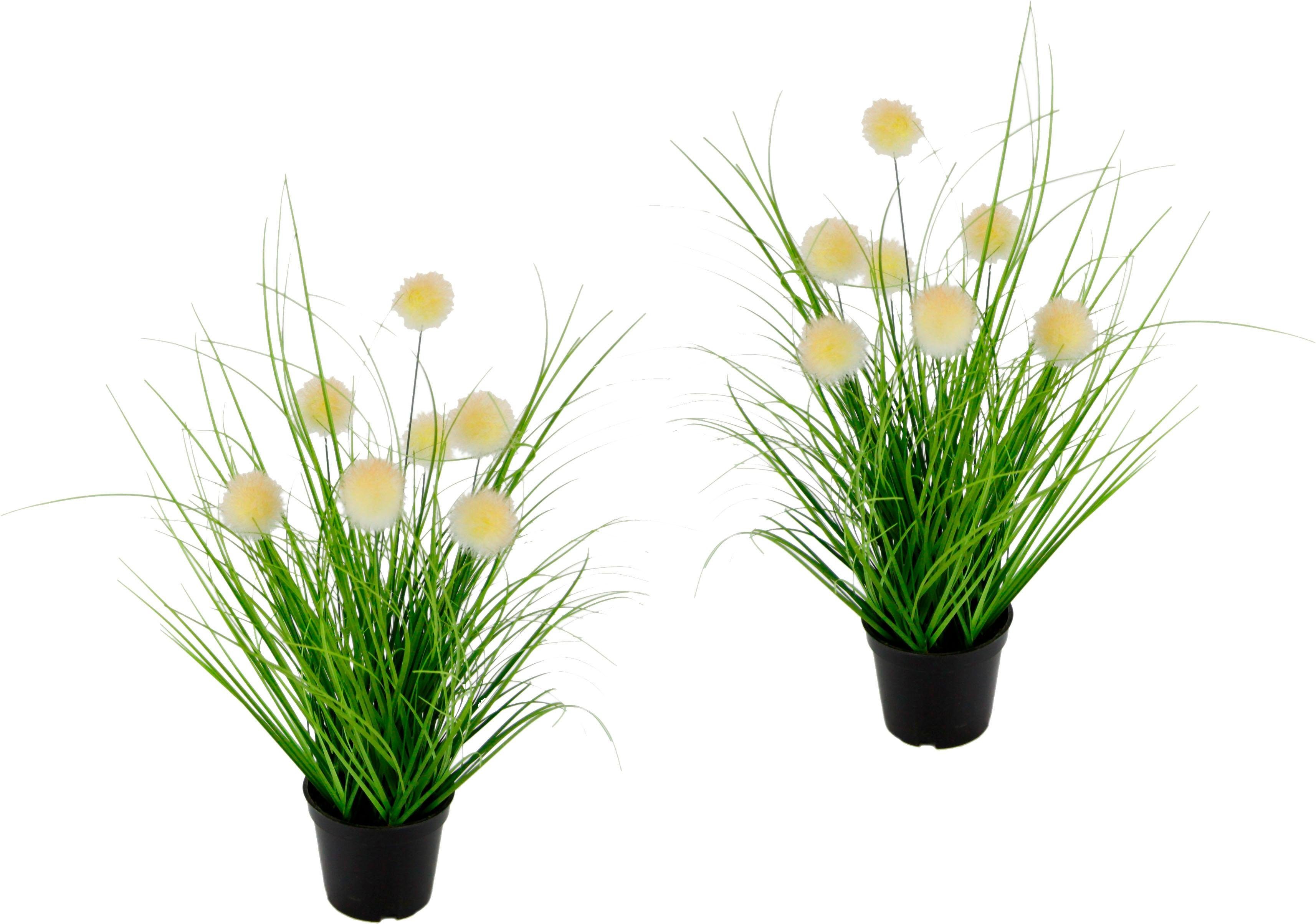 Kunstpflanze Knopfgras, I.GE.A., Höhe 32 cm