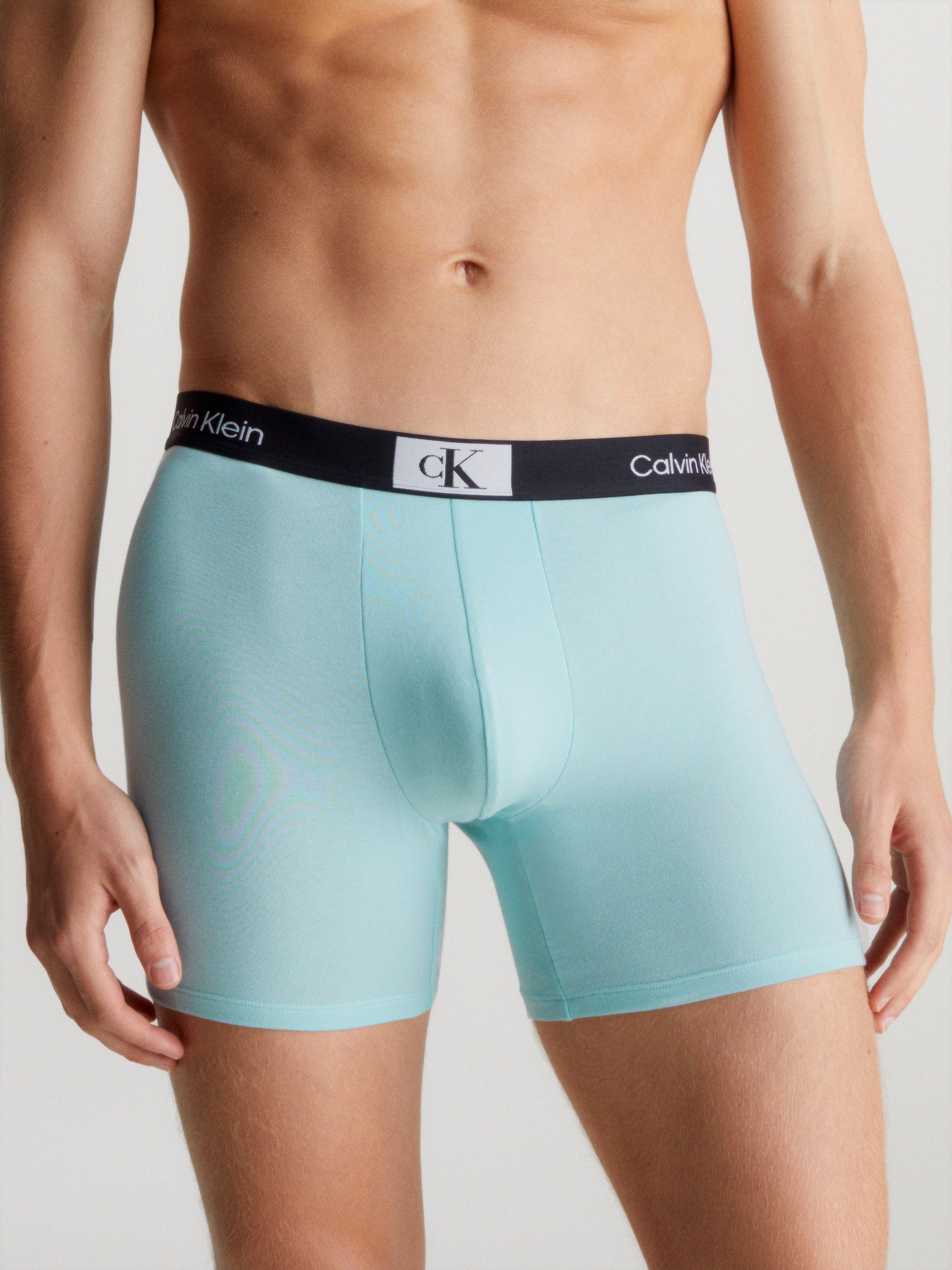 Calvin Klein Underwear Boxer BOXER BRIEF günstig online kaufen
