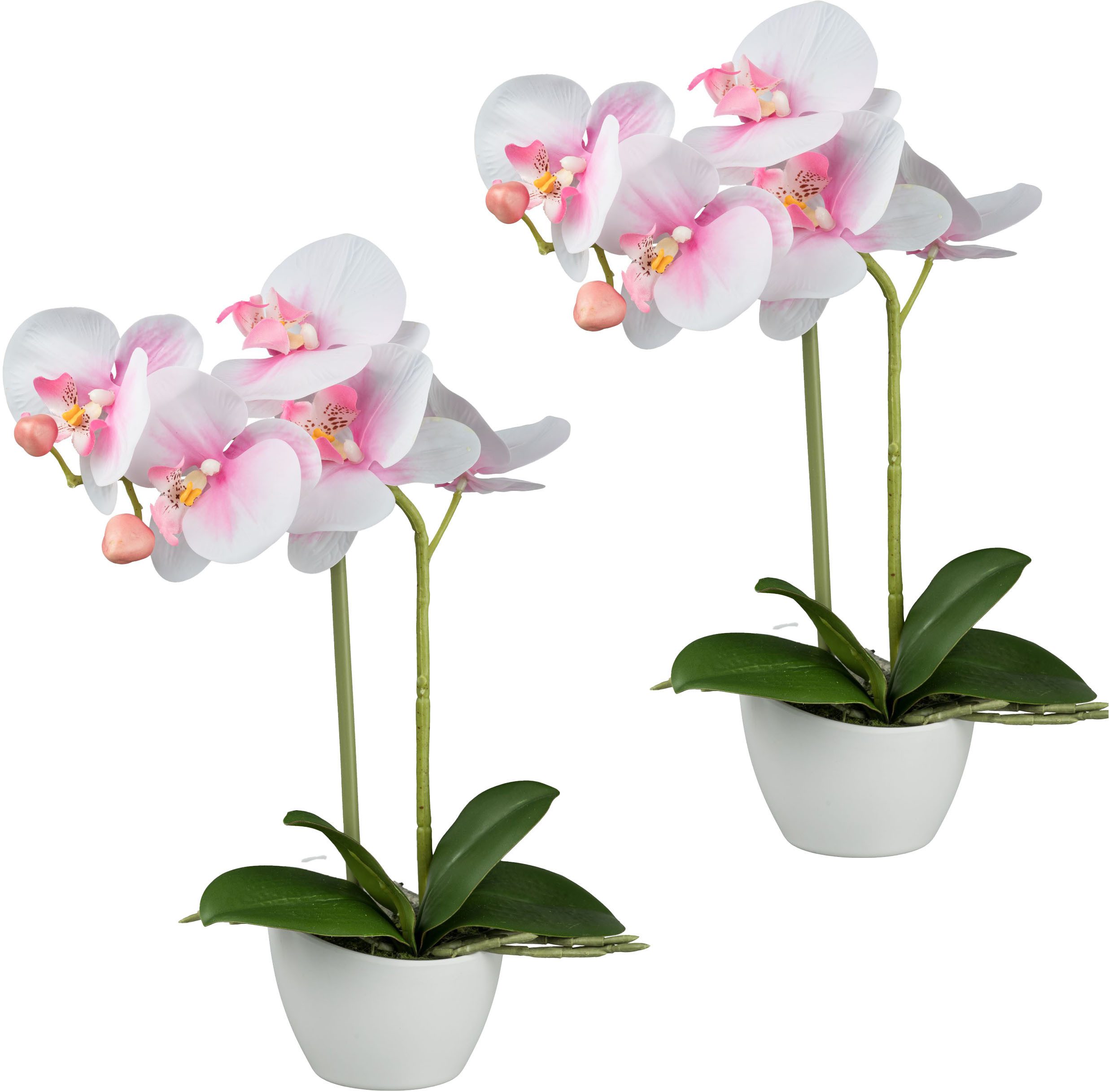 Kunstorchidee Orchidee Phalaenopsis