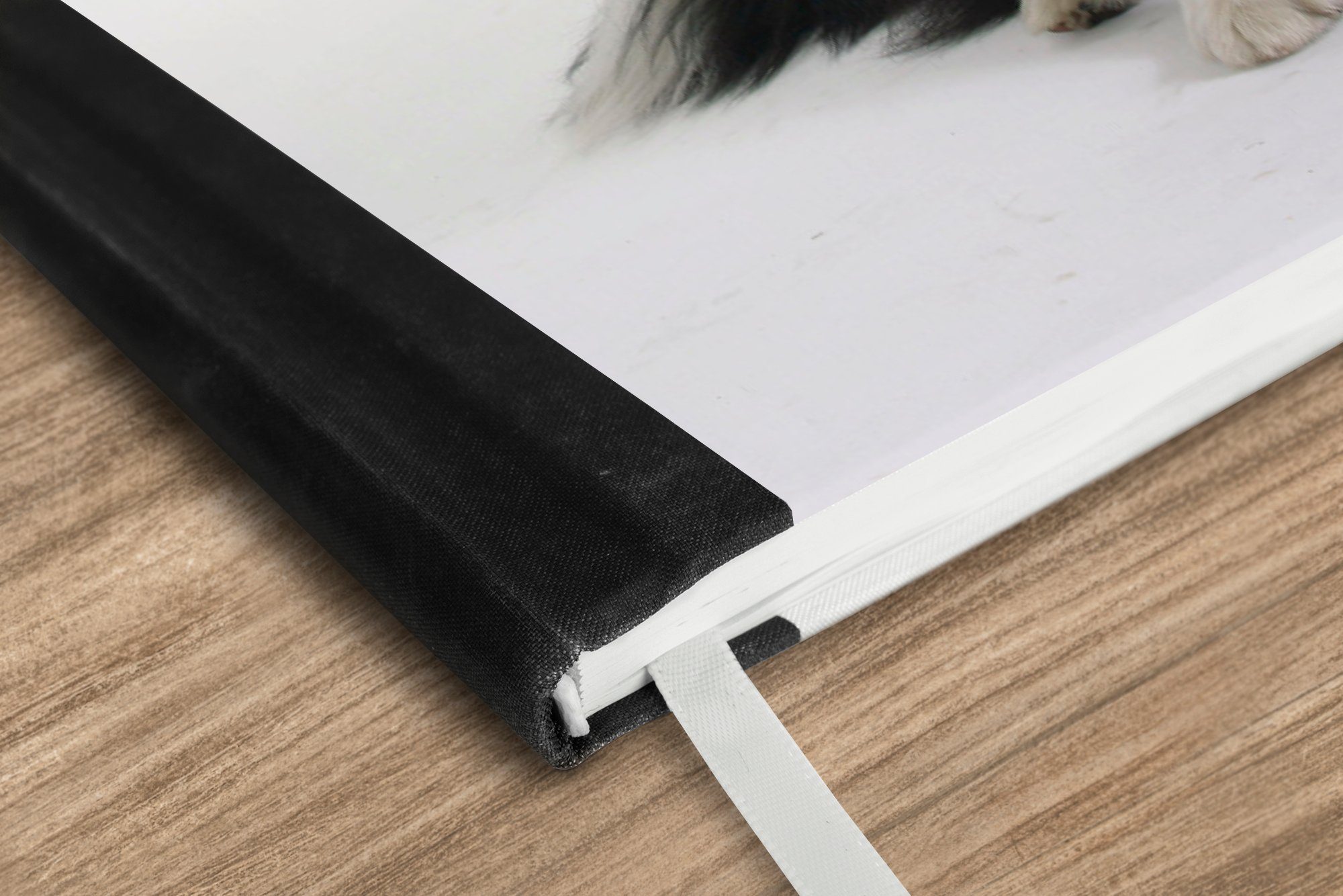 MuchoWow Notizbuch Porträt eines wohlerzogenen Border Collie im Sitzen, Notebook, Notizblock a5, Tagebuch, Journal Liniert