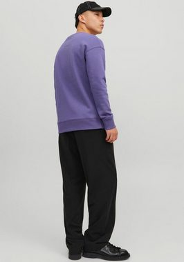 Jack & Jones Sweatshirt JJESTAR BASIC SWEAT CREW NECK NOOS