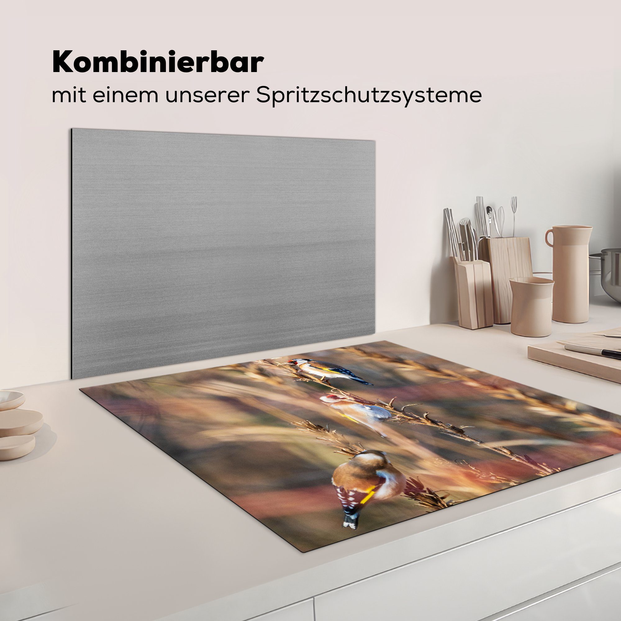 Vinyl, Herdblende-/Abdeckplatte - (1 für Ceranfeldabdeckung, küche MuchoWow Vögel - 78x78 tlg), Arbeitsplatte cm, Äste Wald,