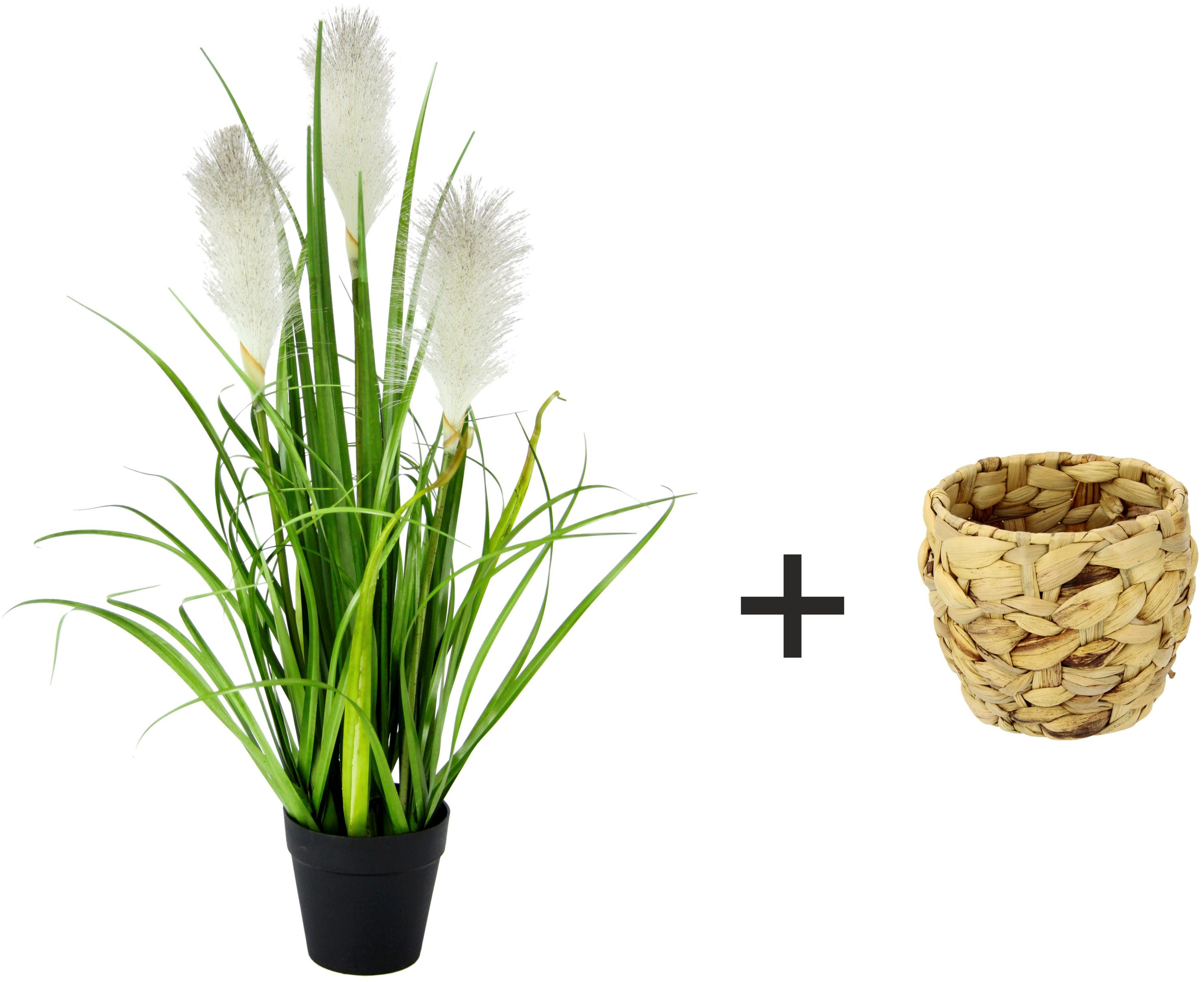 Kunstpflanze Pampasgras, I.GE.A., Höhe 55 cm, Mit Übertopf, künstliches Pam günstig online kaufen