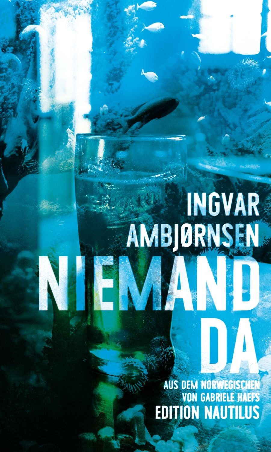 Niemand da / Ingvar Ambjørnsen