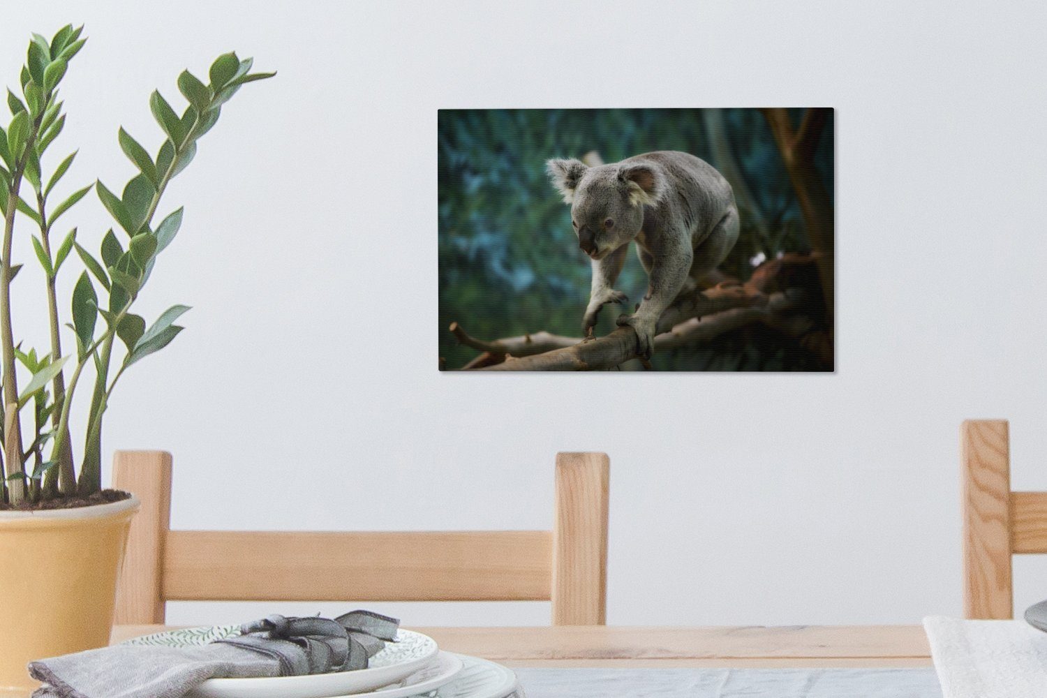 Australien, Koala (1 Leinwandbilder, Leinwandbild - Bumm cm 30x20 Aufhängefertig, - OneMillionCanvasses® St), Wanddeko, Wandbild