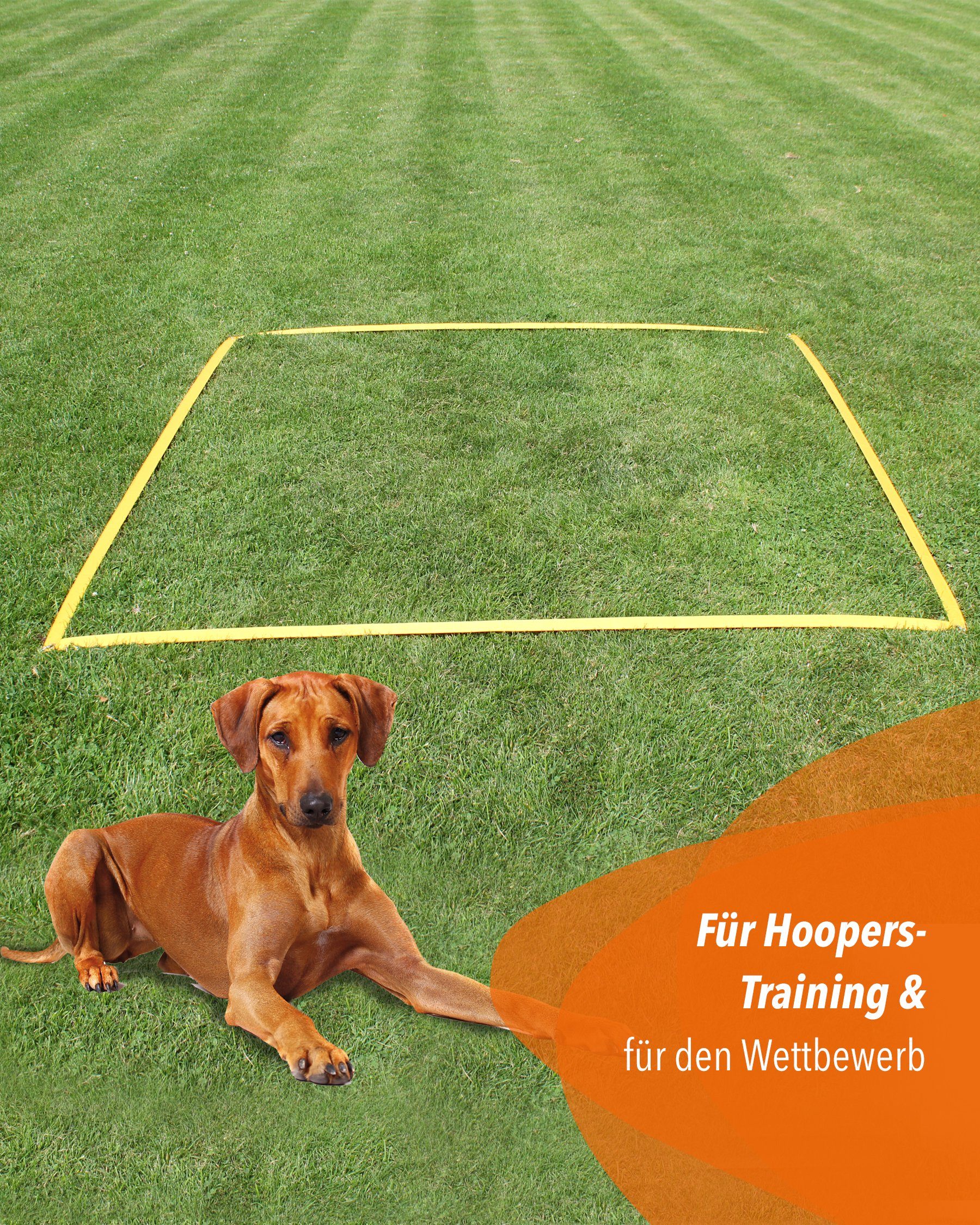 Superhund Zielmarkierung Hoopers-Führbereich für Hoopers, 1,5 x 1,5 Farbe Gelb