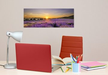 Wallario Glasbild, Sonnenuntergang über dem Lavendel, in verschiedenen Ausführungen
