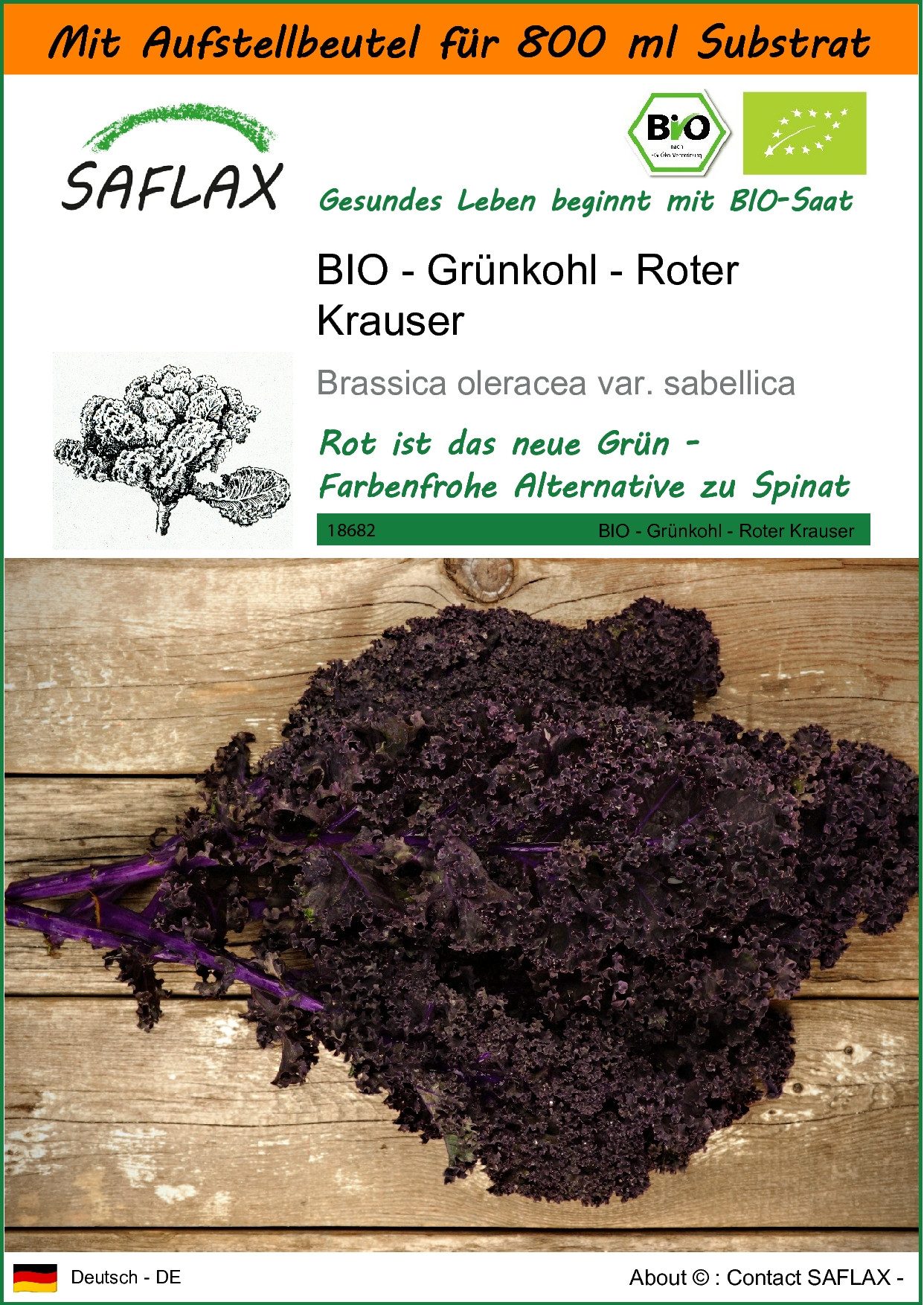 SAFLAX Gemüsesamen SAFLAX - Garden in the bag - BIO - Grünkohl - Roter Krauser