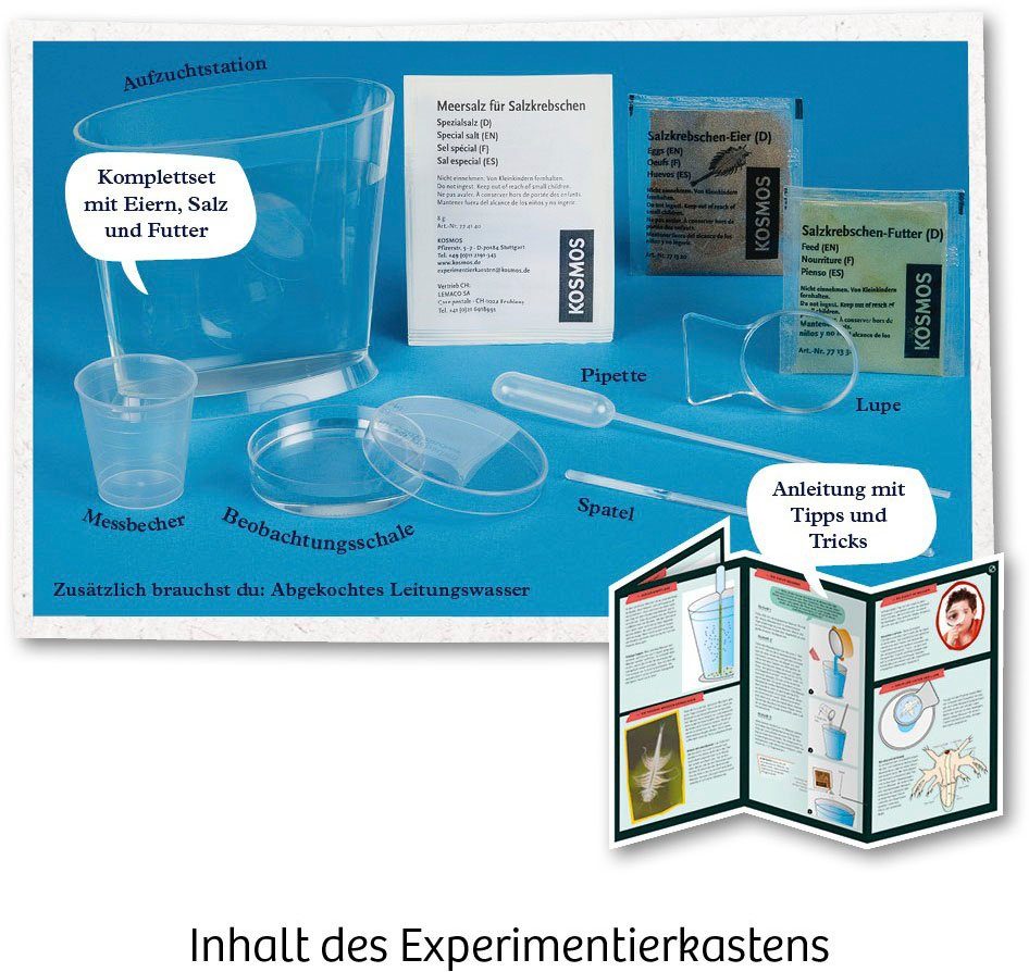 Kosmos Experimentierkasten Urzeit-Krebse, Made in Germany