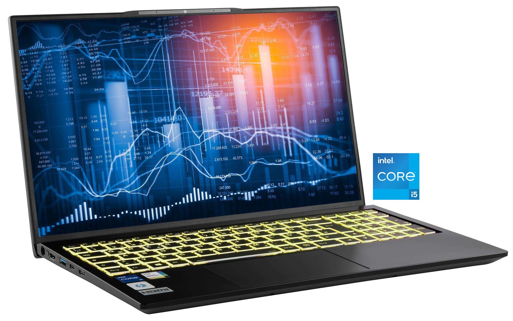 CAPTIVA Business/Office I10-1438GE Business-Notebook (43,94 cm/17,3 Zoll, Intel Core i5 1335U, Iris Xe Graphics, 64 GB, 1000 GB SSD)