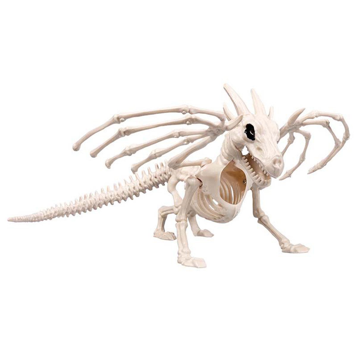 Boland Dekoobjekt Skelett Tier Drache 13 günstig online kaufen