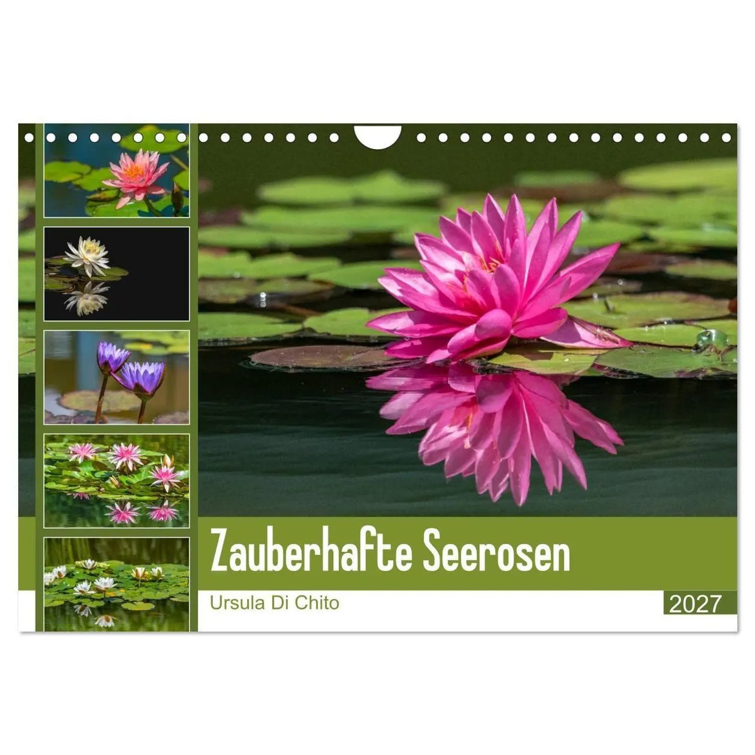 CALVENDO Wandkalender Zauberhafte Seerosen (Wandkalender 2027 DIN A4 quer), CALVENDO...