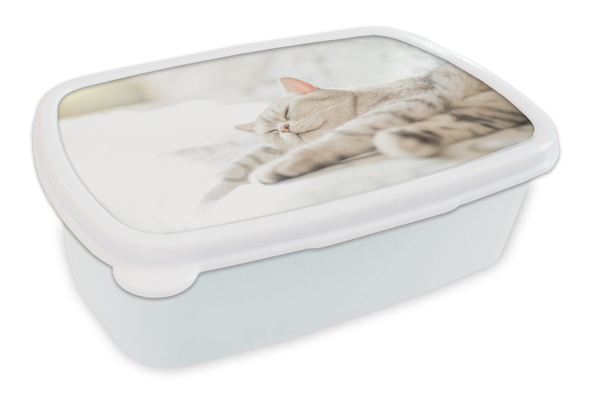 MuchoWow Lunchbox Die Katze schläft auf dem Sofa, Kunststoff, (2-tlg), Brotbox für Kinder und Erwachsene, Brotdose, für Jungs und Mädchen weiß