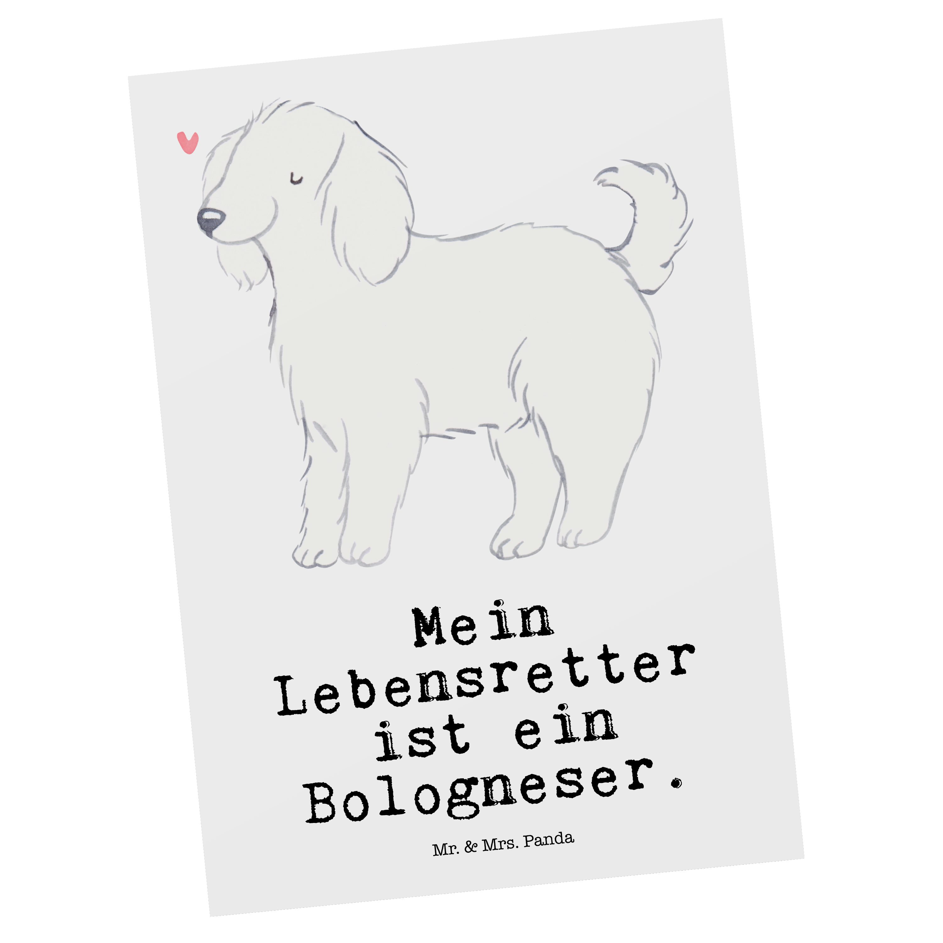 Bologneser Dan - Hunderasse, Grußkarte, Lebensretter Geschenk, Panda & Mrs. Weiß Postkarte - Mr.