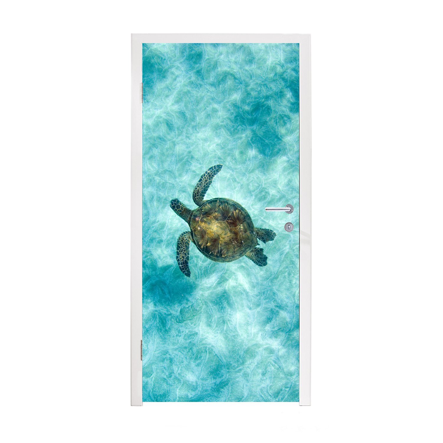 Türtapete 75x205 für bedruckt, Schildkröte cm im MuchoWow Türaufkleber, Matt, St), Fototapete (1 Meer, Tür,