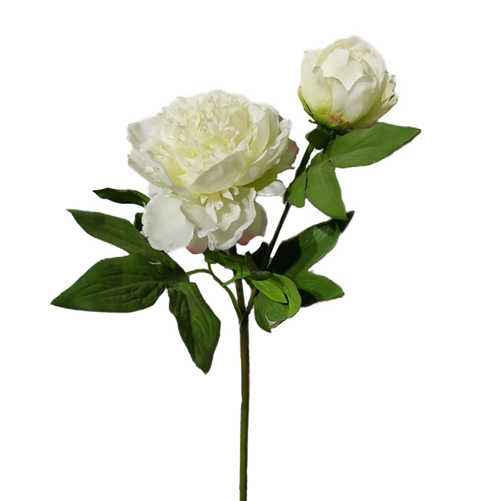 Pfingstrose, 23 cm cm Flora Kunstblume Pfingstrose Weiß HTI-Living, 23 Kunstblume Höhe