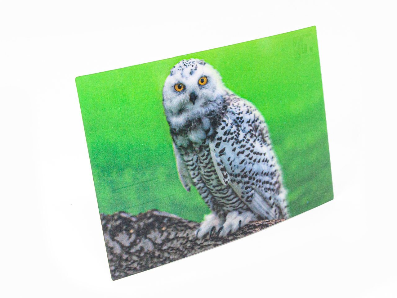 Thumbnail - Cornelißen Postkarte 3D Postkarte Schnee-Eule, 3D
