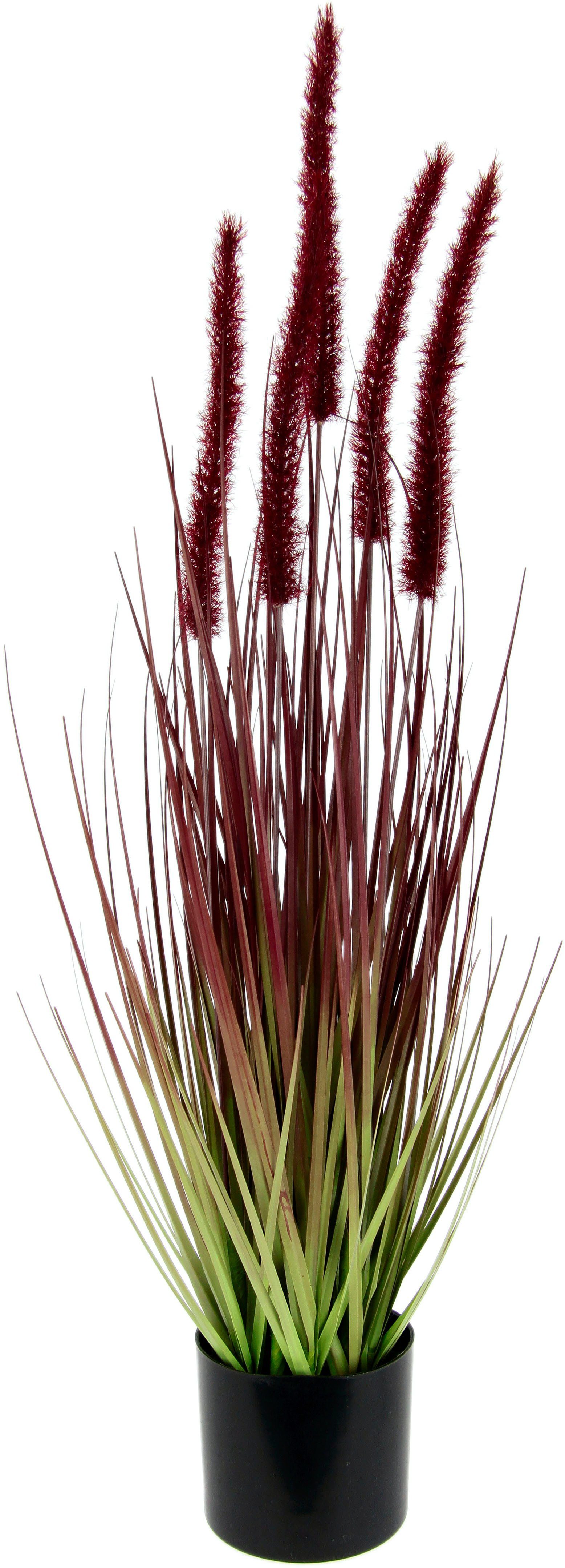 Kunstpflanze Fuchsschwanzgras, I.GE.A., Höhe 65 cm, Im Topf