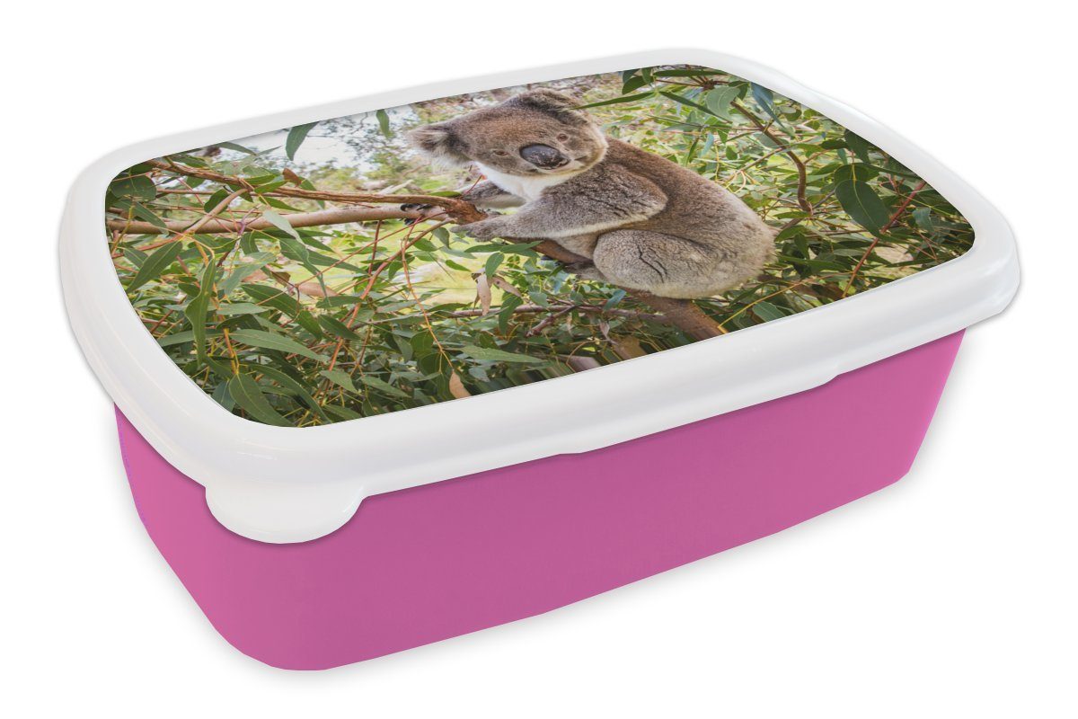 MuchoWow Lunchbox Koala - Blätter - Kinder - Jungen - Mädchen, Kunststoff, (2-tlg), Brotbox für Erwachsene, Brotdose Kinder, Snackbox, Mädchen, Kunststoff rosa