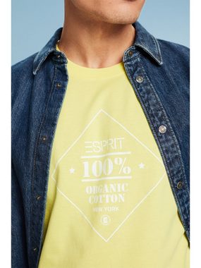 Esprit T-Shirt Baumwoll-T-Shirt mit Logoprint (1-tlg)