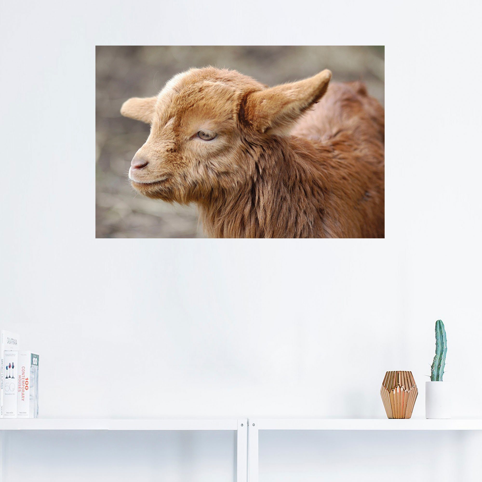 versch. Kleine als St), (1 oder Haustiere in Wandaufkleber Größen Leinwandbild, Poster Wandbild Ziege, Artland