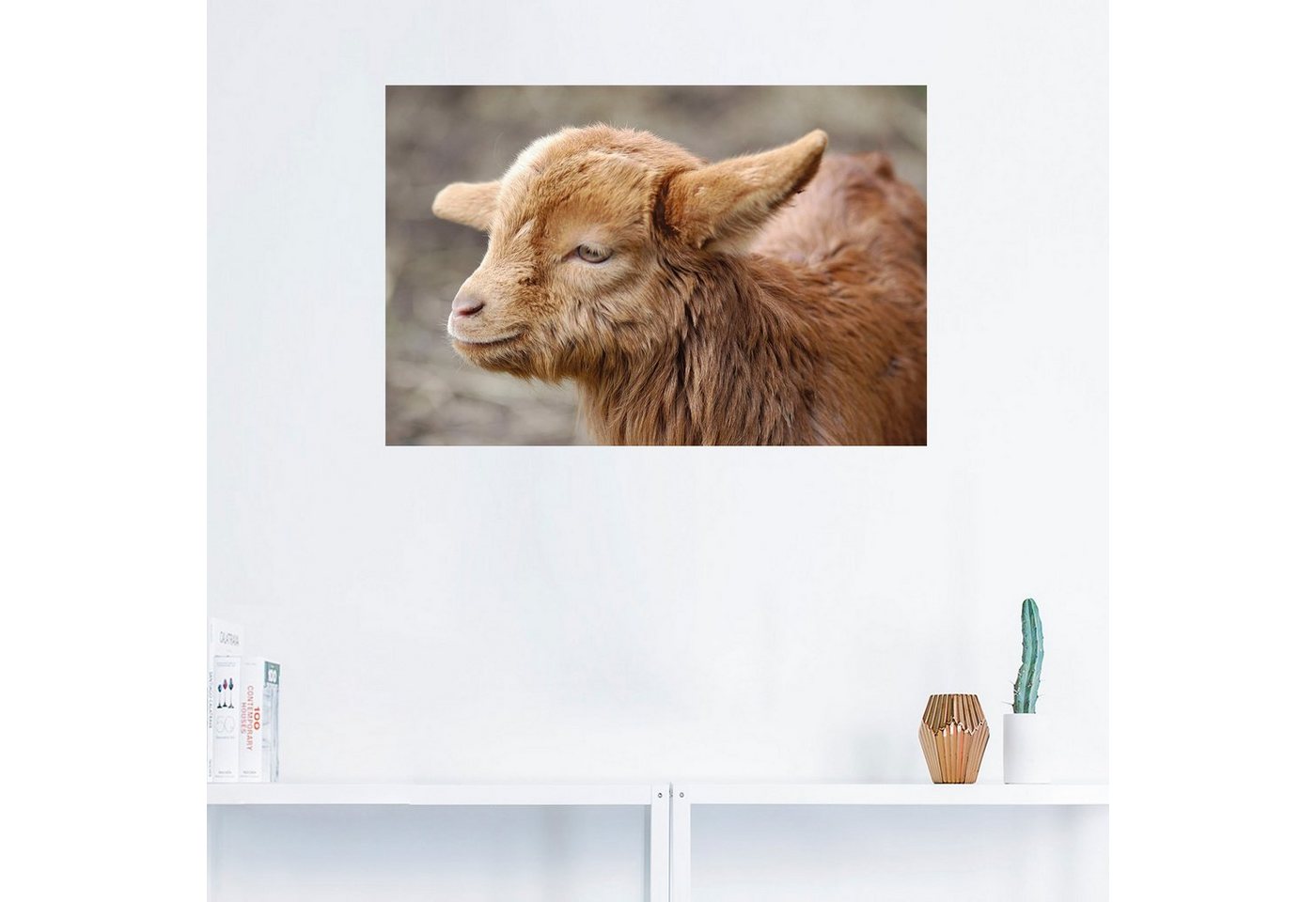Artland Wandbild »Kleine Ziege«, Haustiere (1 Stück), in vielen Größen & Produktarten -Leinwandbild, Poster, Wandaufkleber / Wandtattoo auch für Badezimmer geeignet-HomeTrends