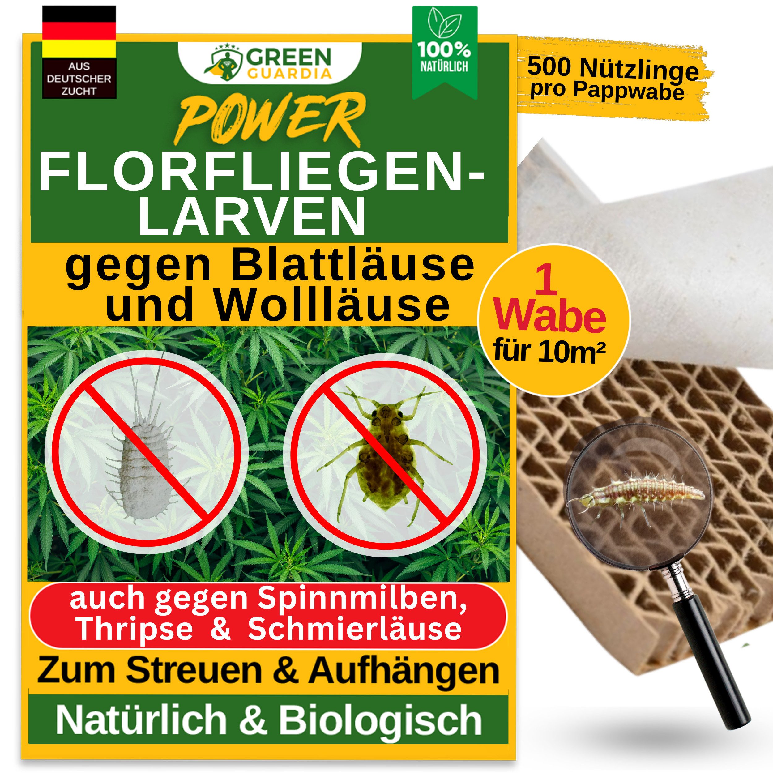Insektenvernichter Florfliegenlarven gegen Blattläuse und Wollläuse - ohne Chemie