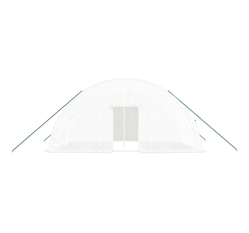 vidaXL Gewächshaus Foliengewächshaus T... vidaXL Gewächshaus Foliengewächshaus T...